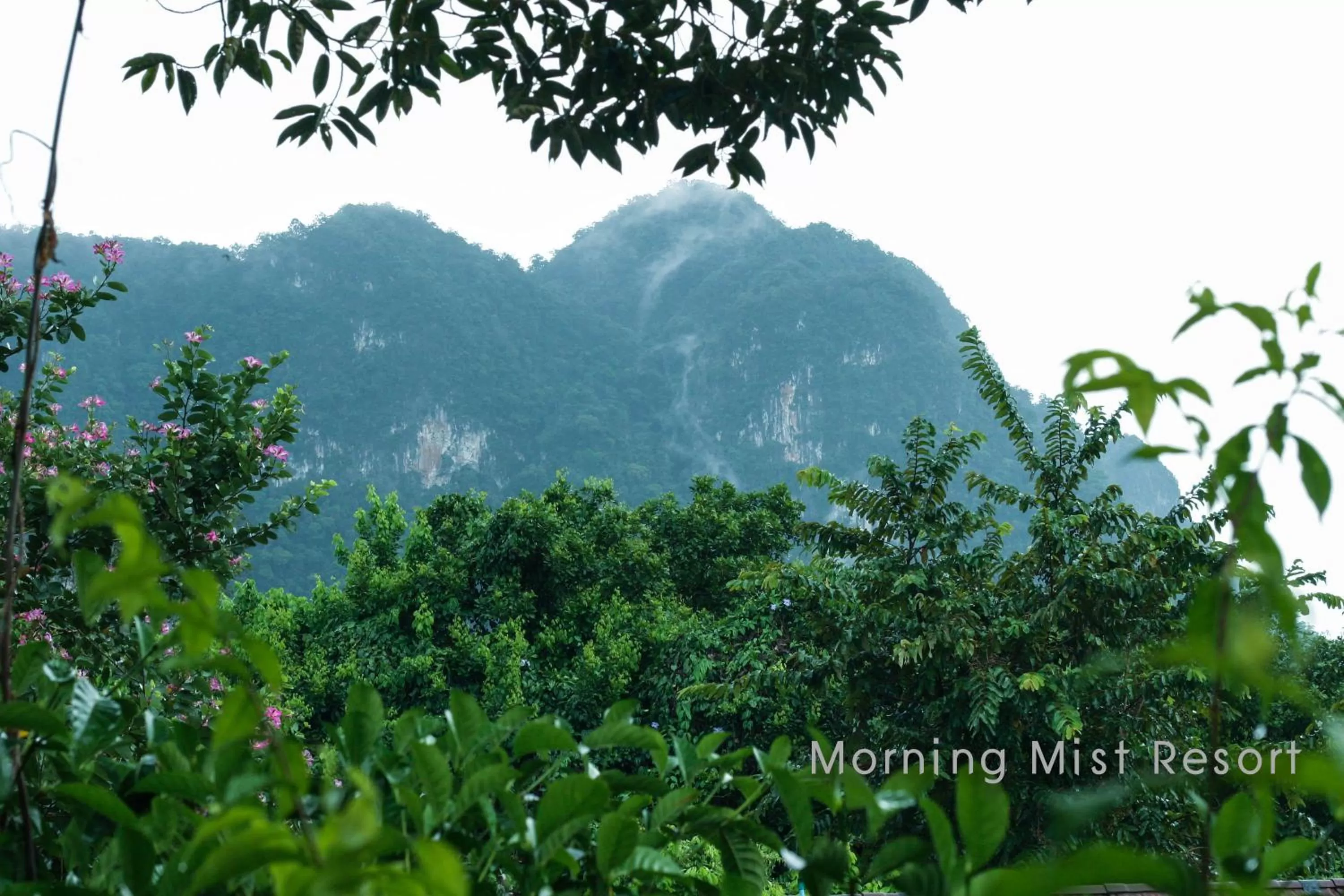 Mountain view in Khao Sok Morning Mist Resort