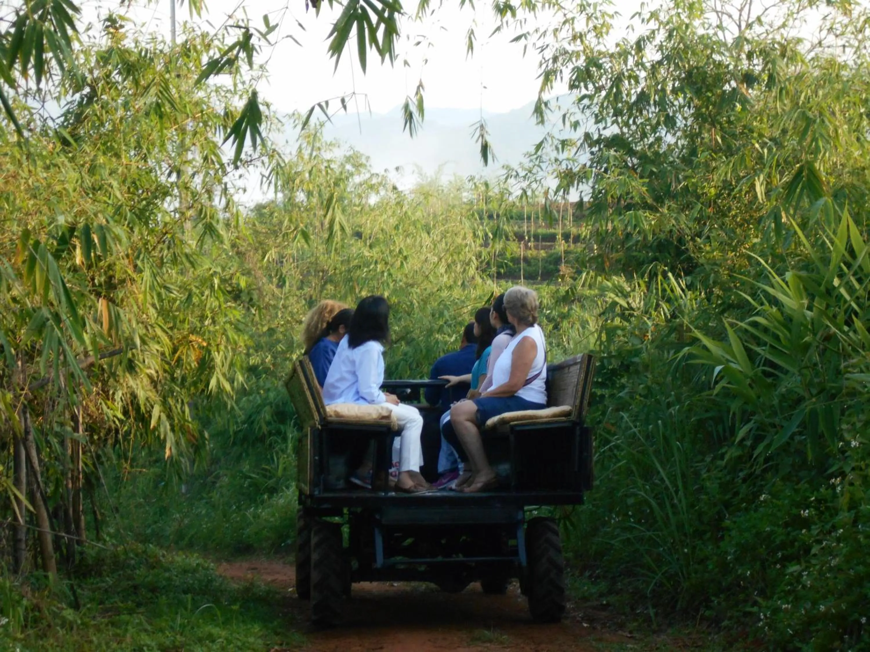 Activities in Phu Chaisai Chiang Rai Mountain Resort