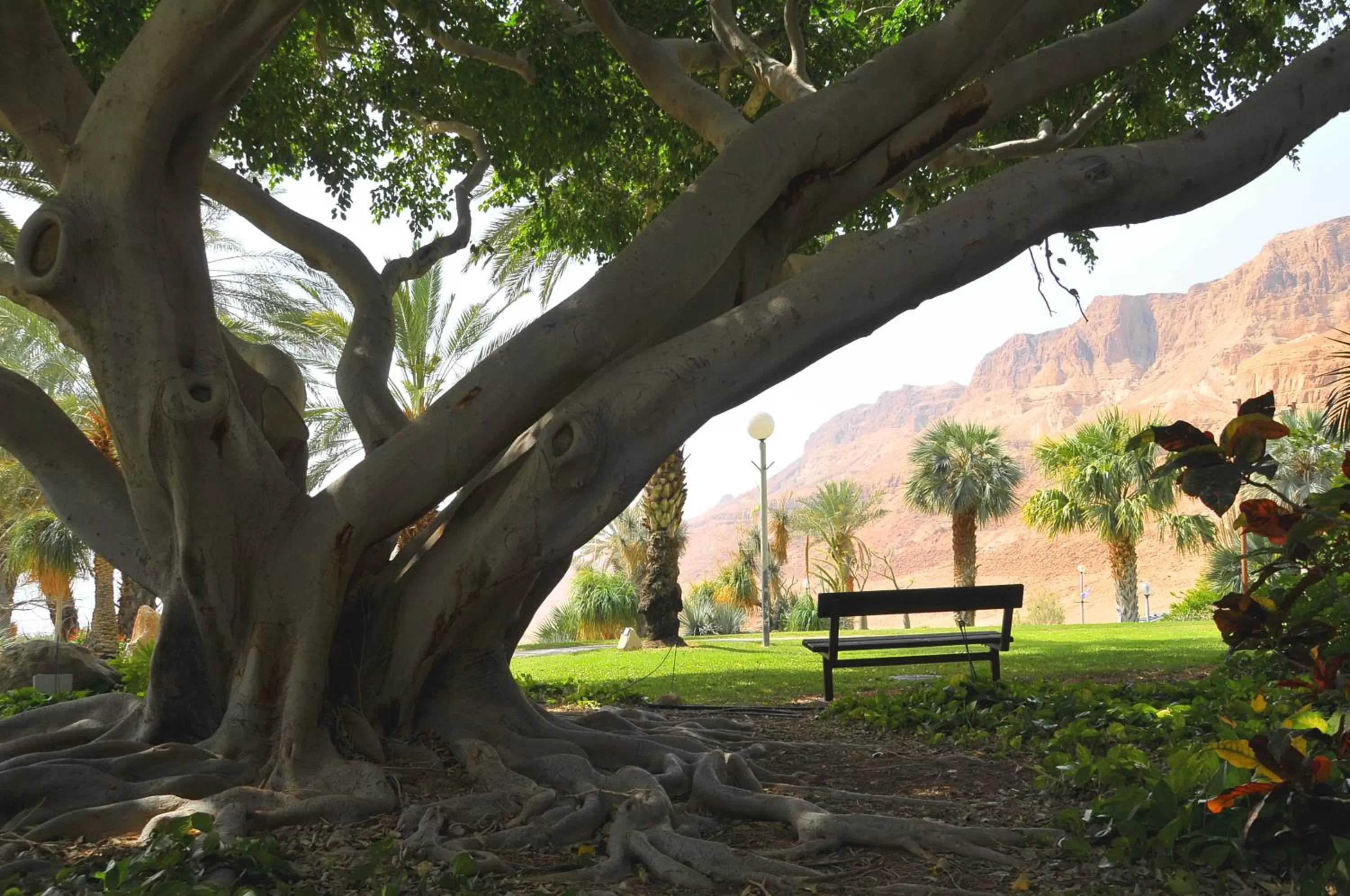 Landmark view in Ein Gedi Kibbutz Hotel