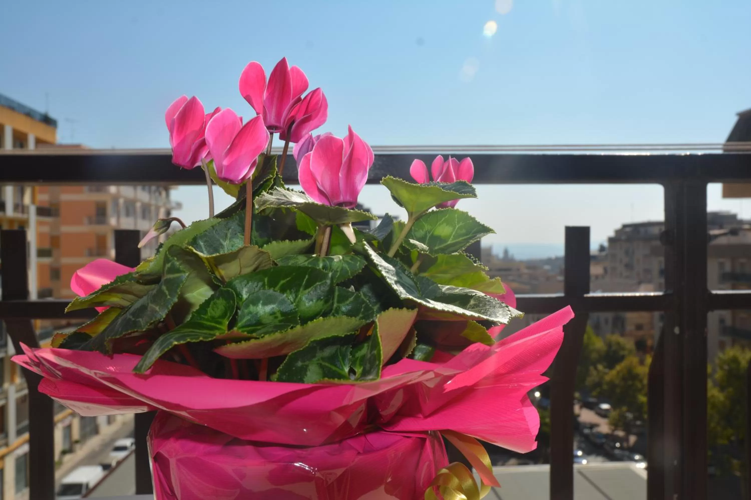 Decorative detail in ART B&B