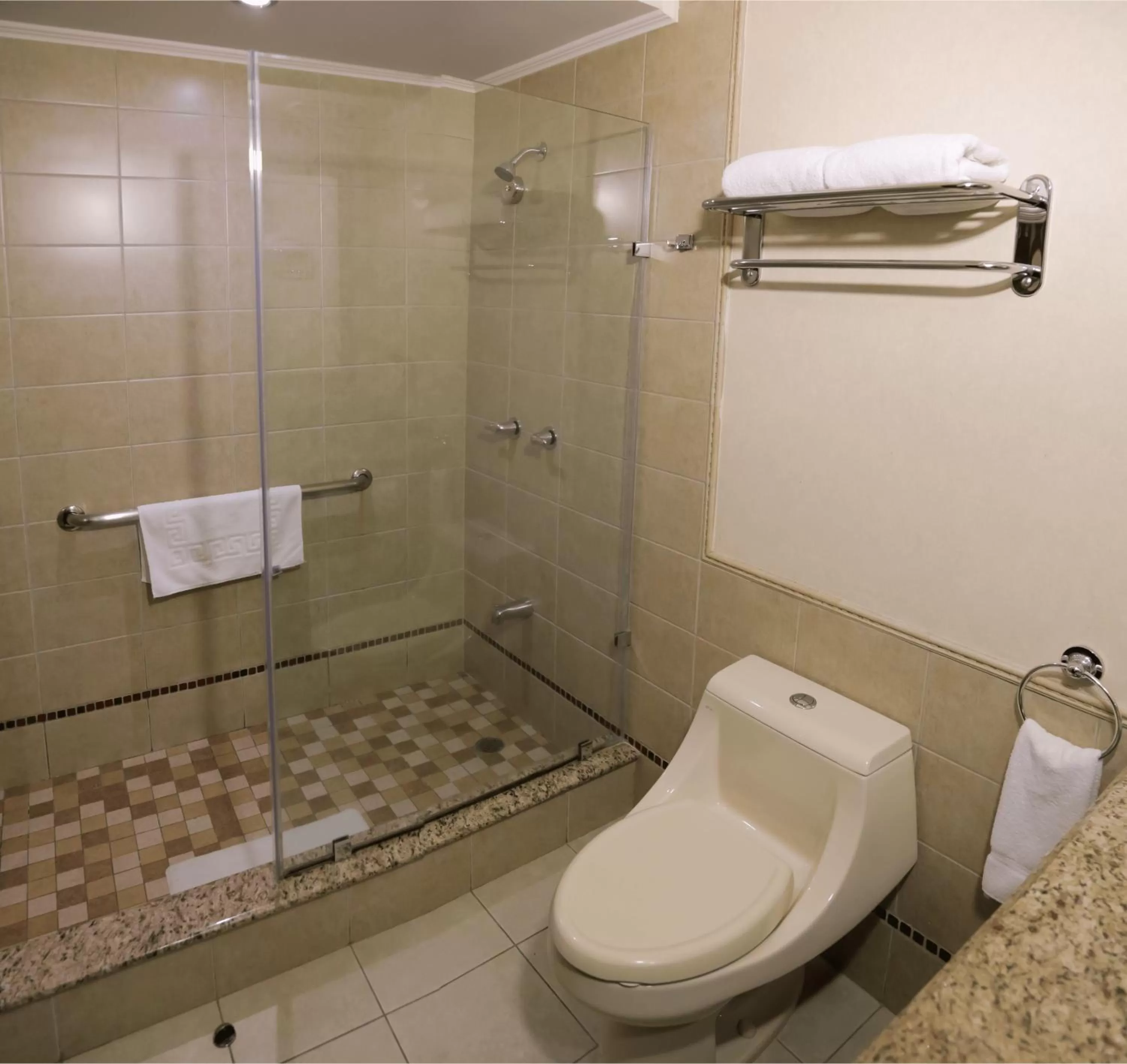 Hotel Plaza Juan Carlos