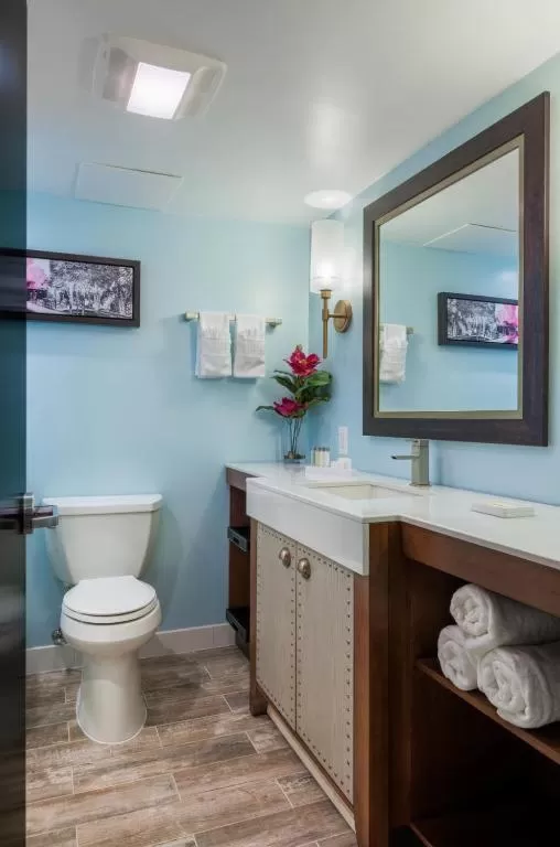 Toilet in The Kenilworth Hotel - Airport West