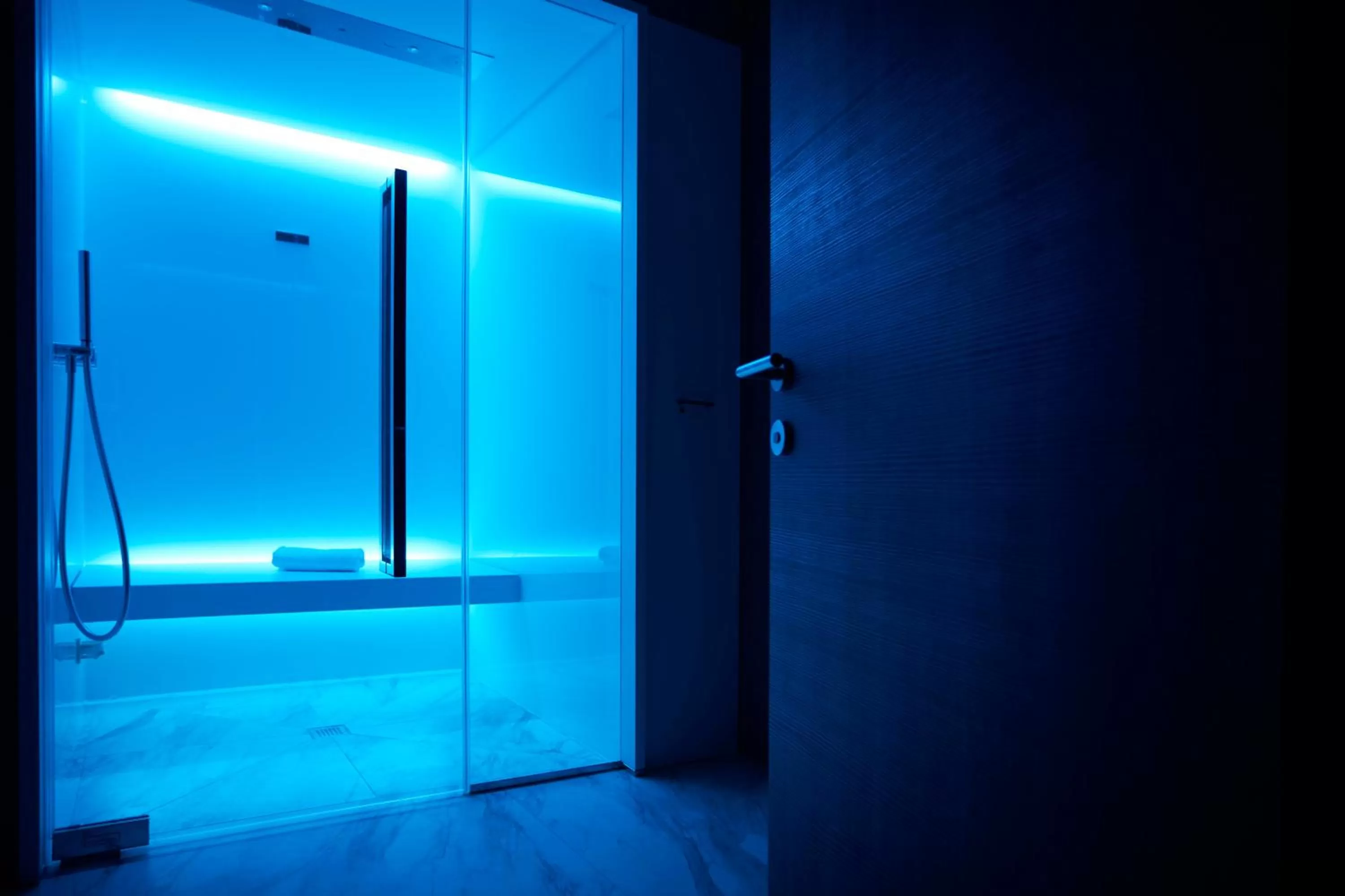 Spa and wellness centre/facilities in Hotel Concord