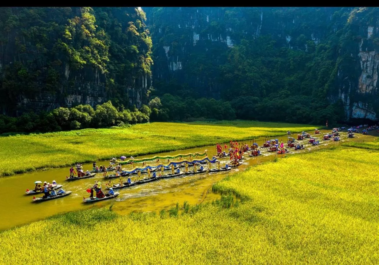 Natural landscape, Garden in Green Space Homestay