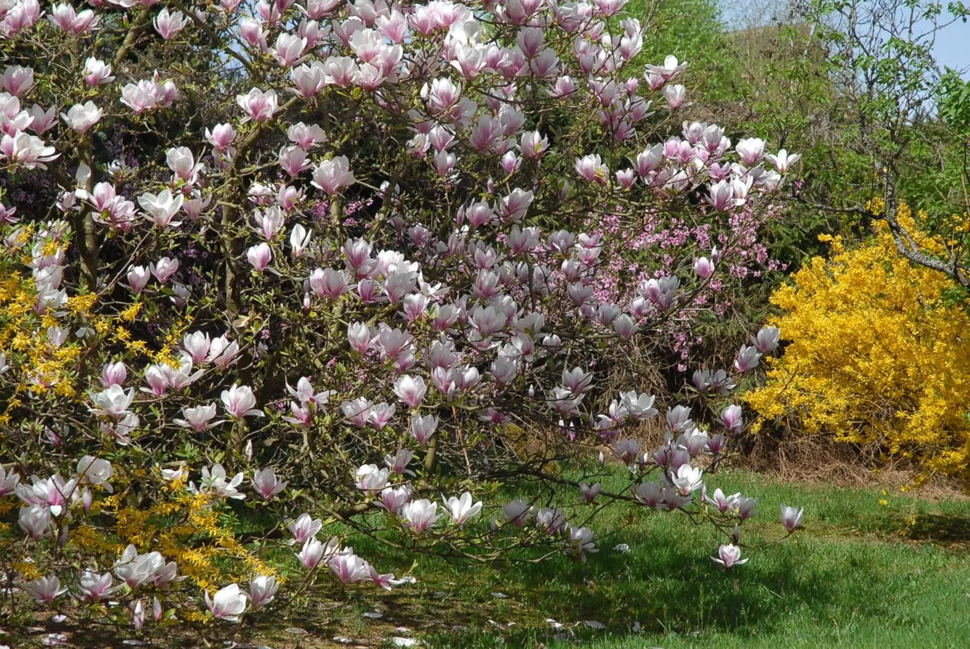 Spring in Villa Thalassa domaineleshesperides
