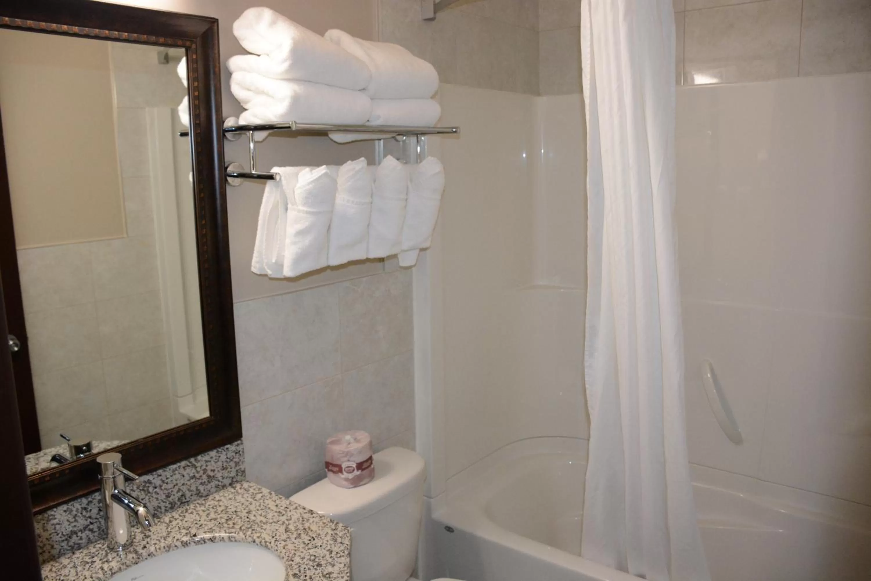 Bathroom in Travelodge by Wyndham Lethbridge