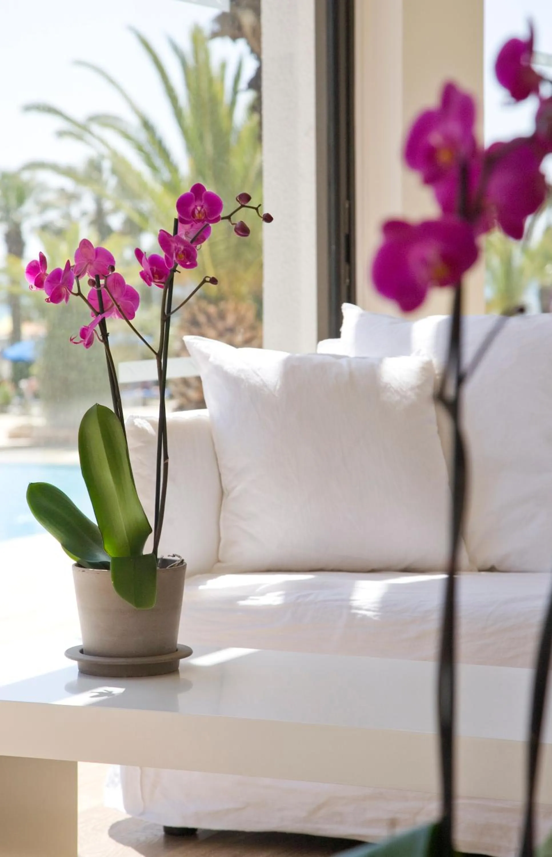 Lounge or bar in Sandy Beach Hotel & Spa - ex Sentido