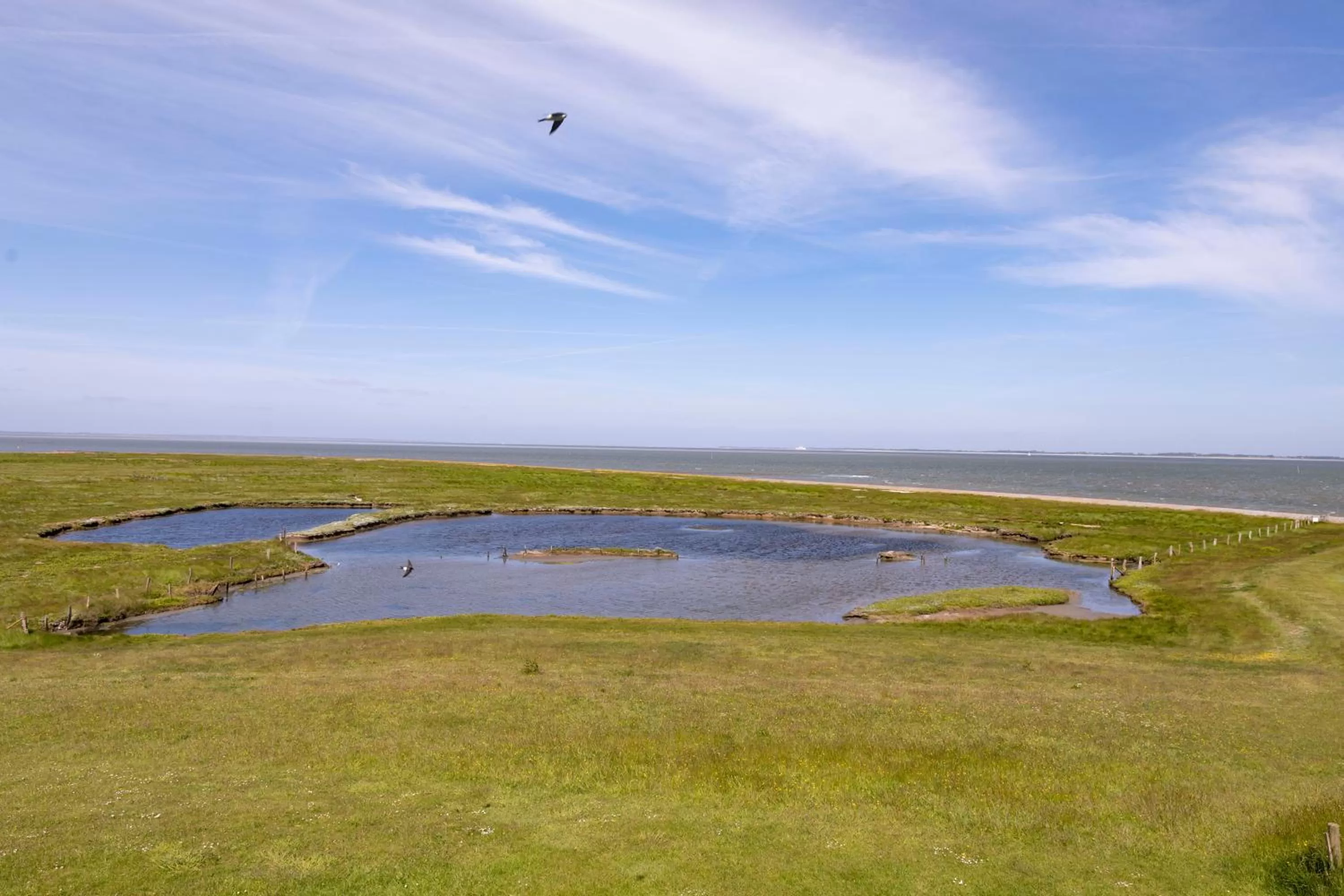 Lake view in Anker's Hörn - Hotel & Restaurant auf der Hallig Langeness