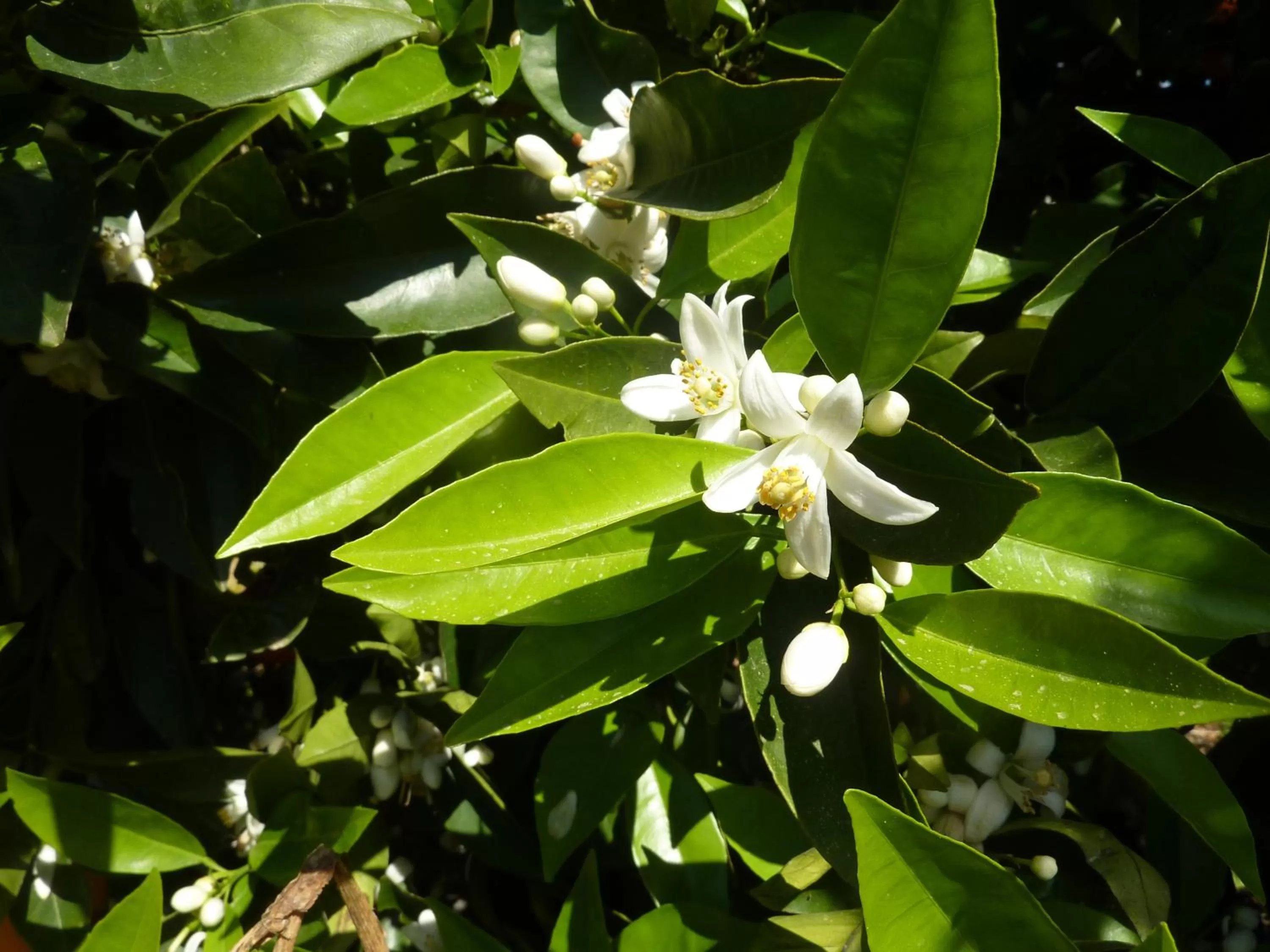 Other in Aphrodite Beach Hotel