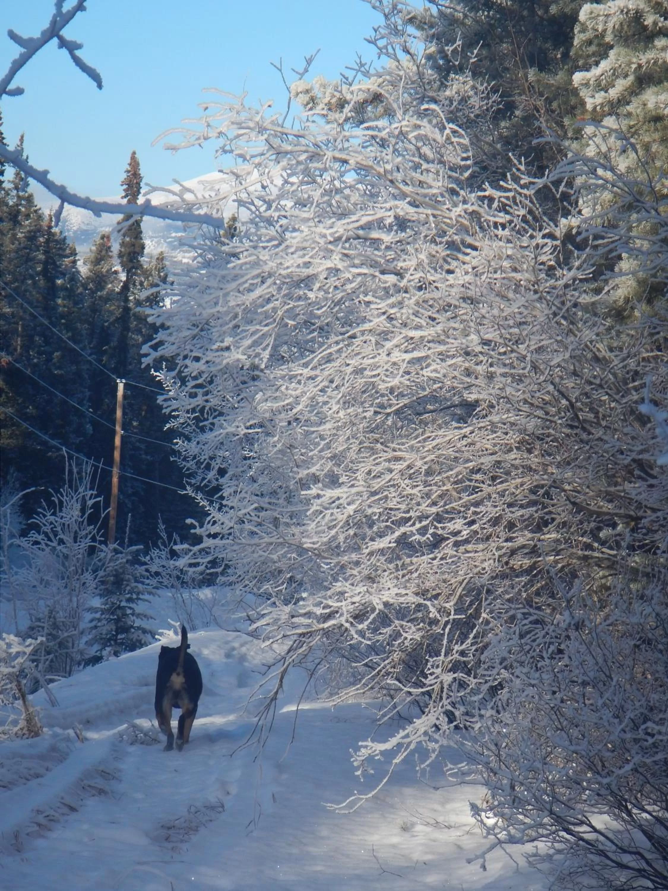 Area and facilities, Winter in Hidden Valley Bed and Breakfast