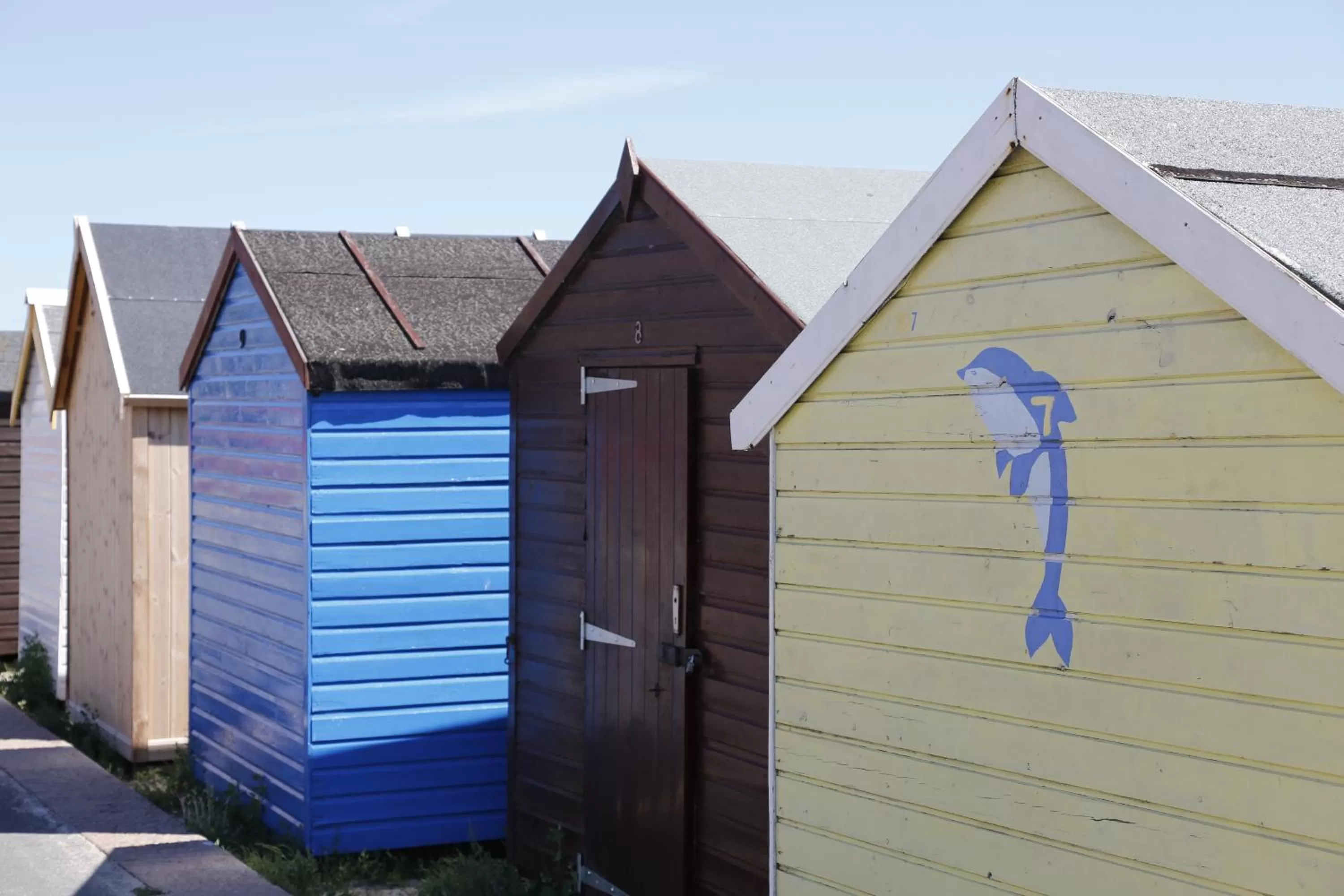 Area and facilities in Hotel Coco