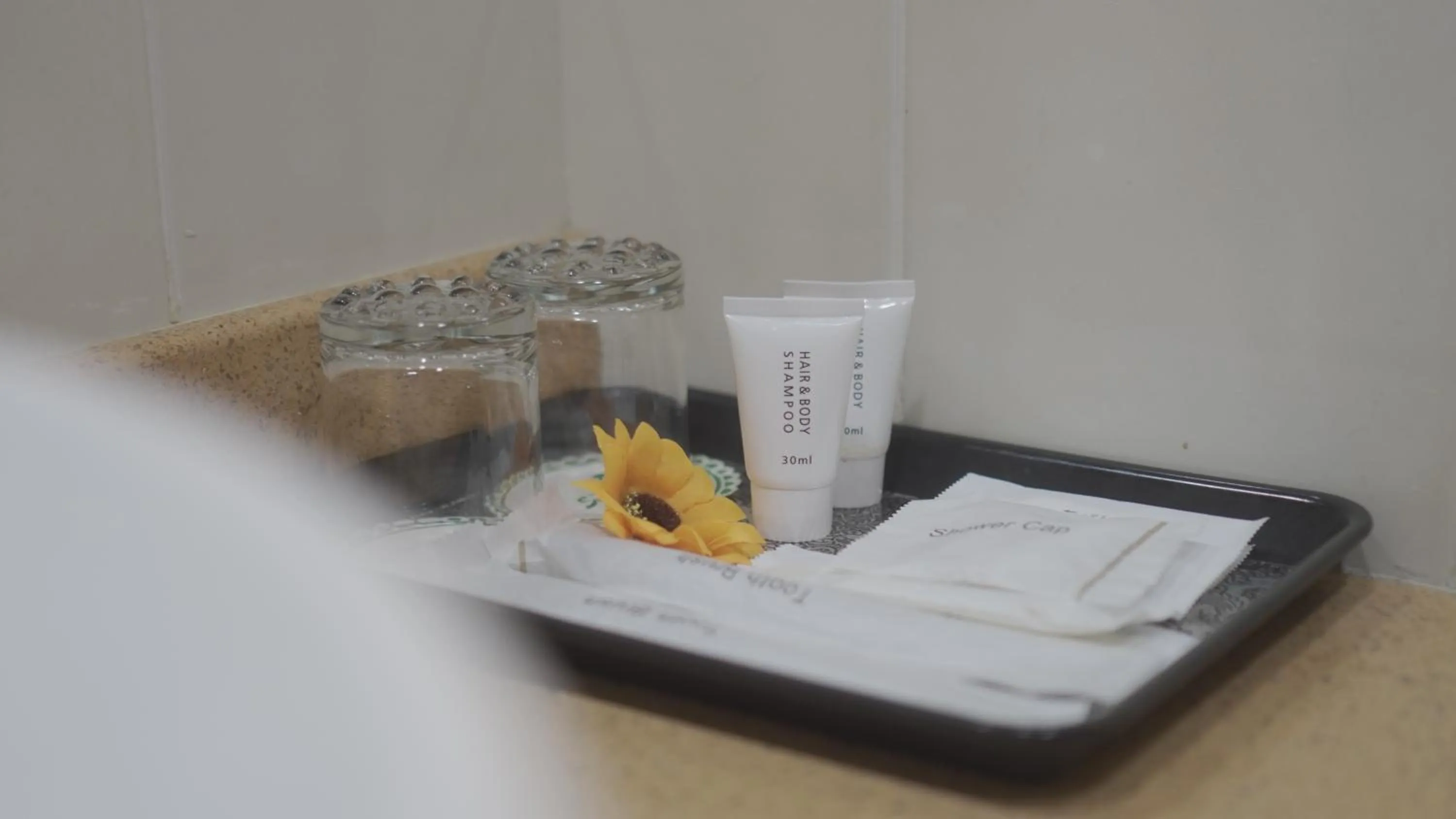 Toilet in Hotel Sandakan