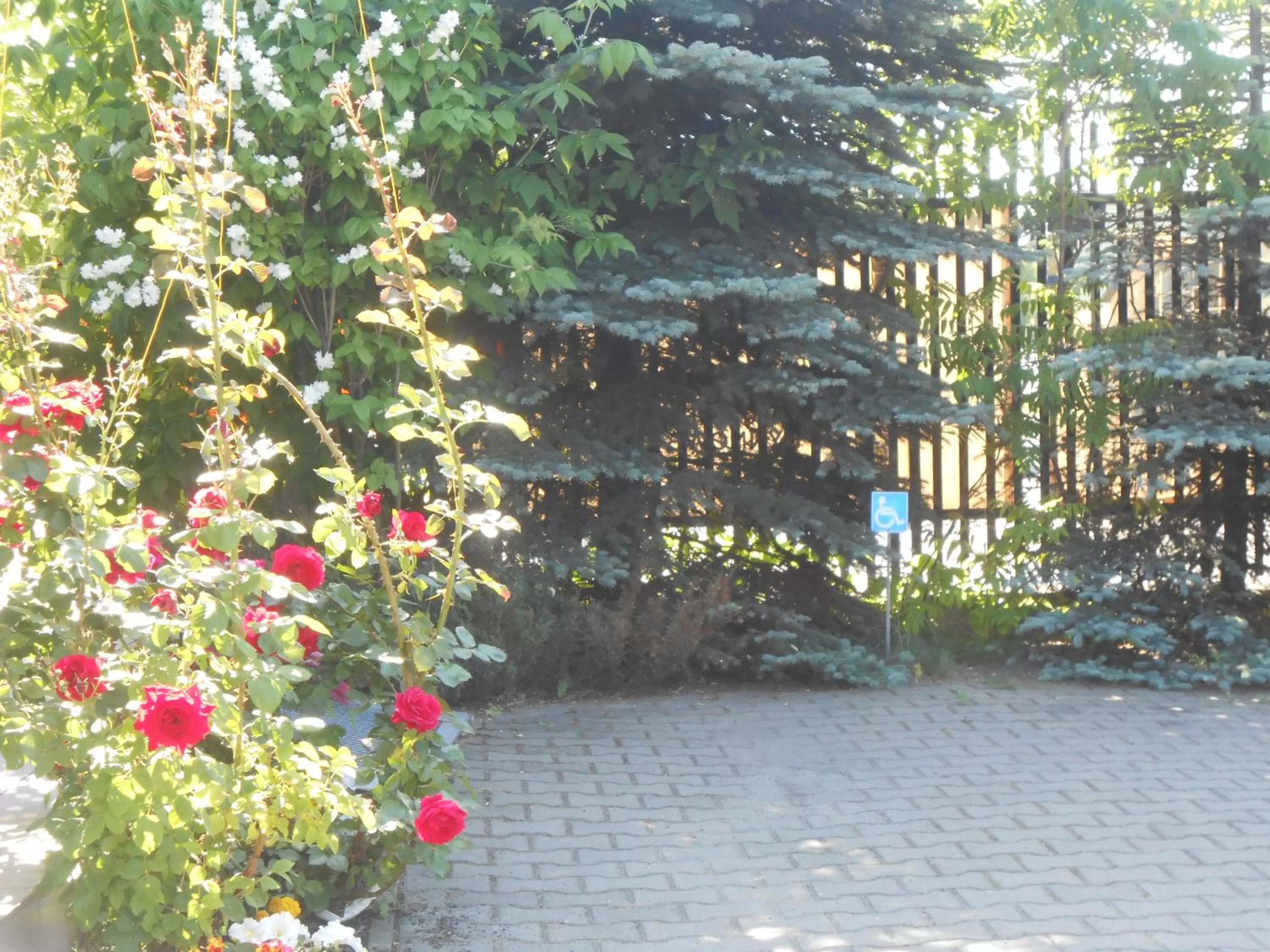 Natural landscape in Hotel As