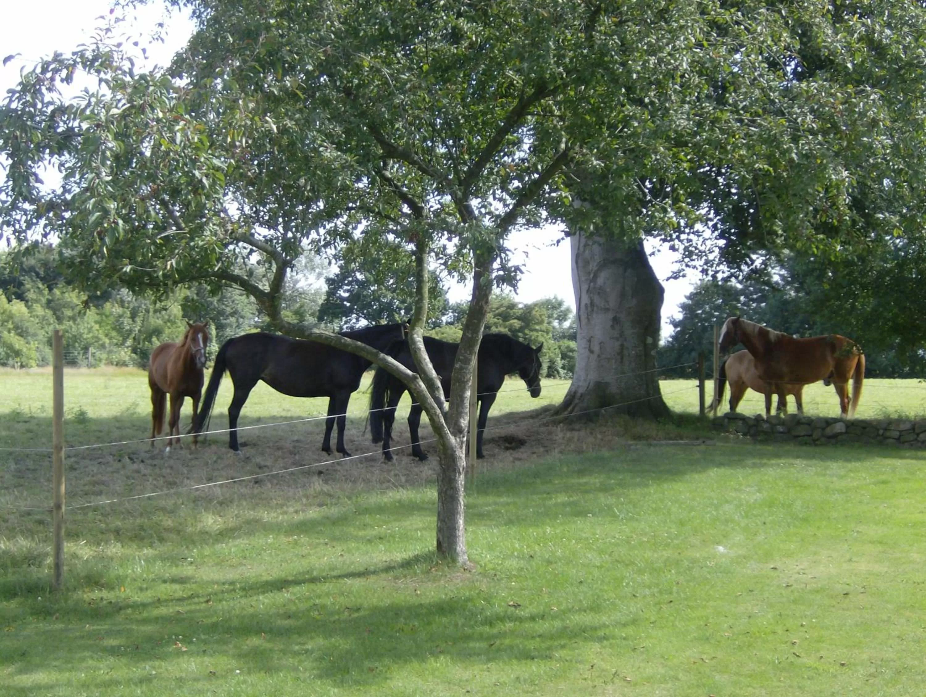 On site in Hotel Frøslev Kro