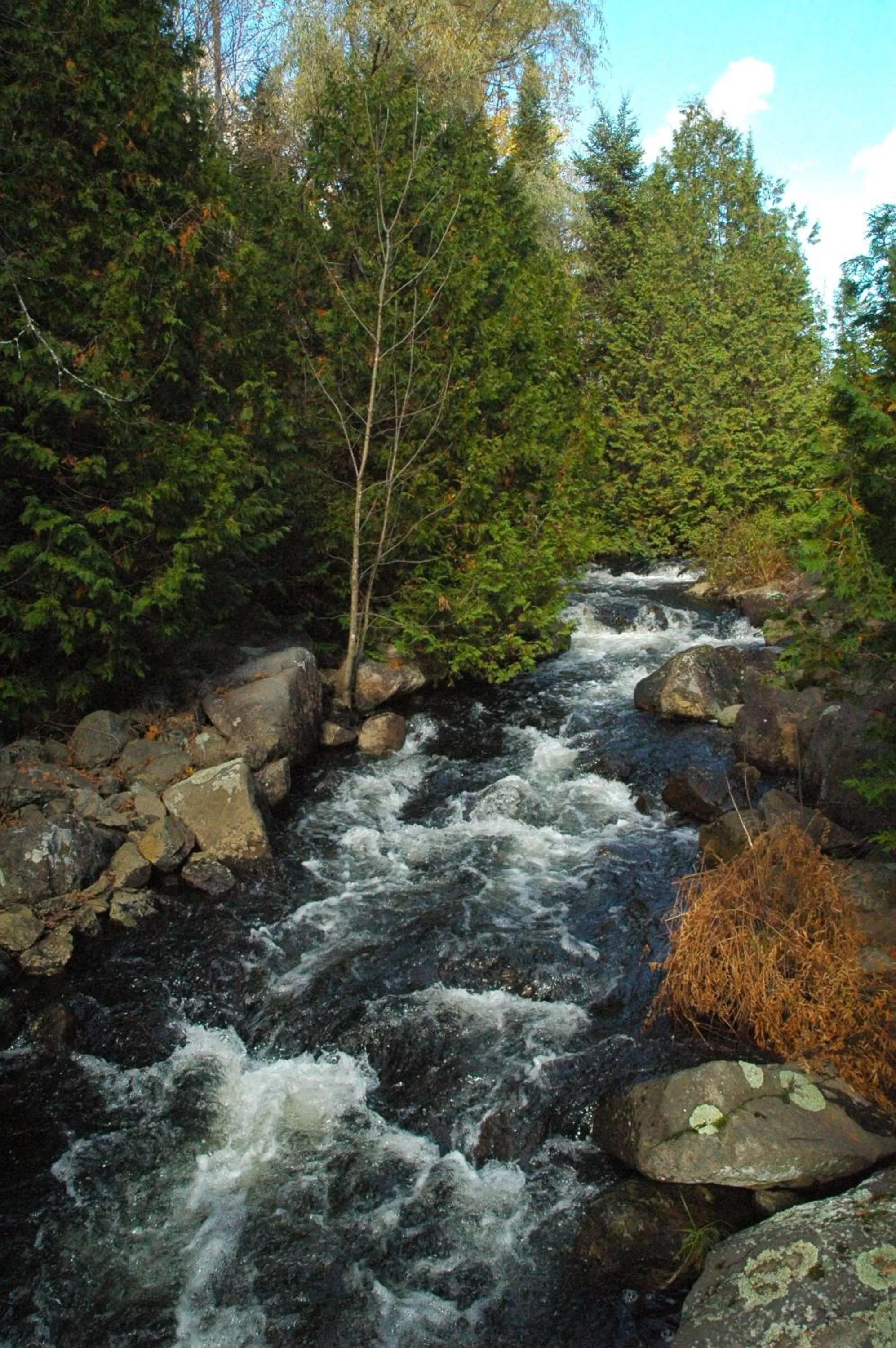 Spring, Natural Landscape in Auberge Micro-Brasserie Le Baril Roulant