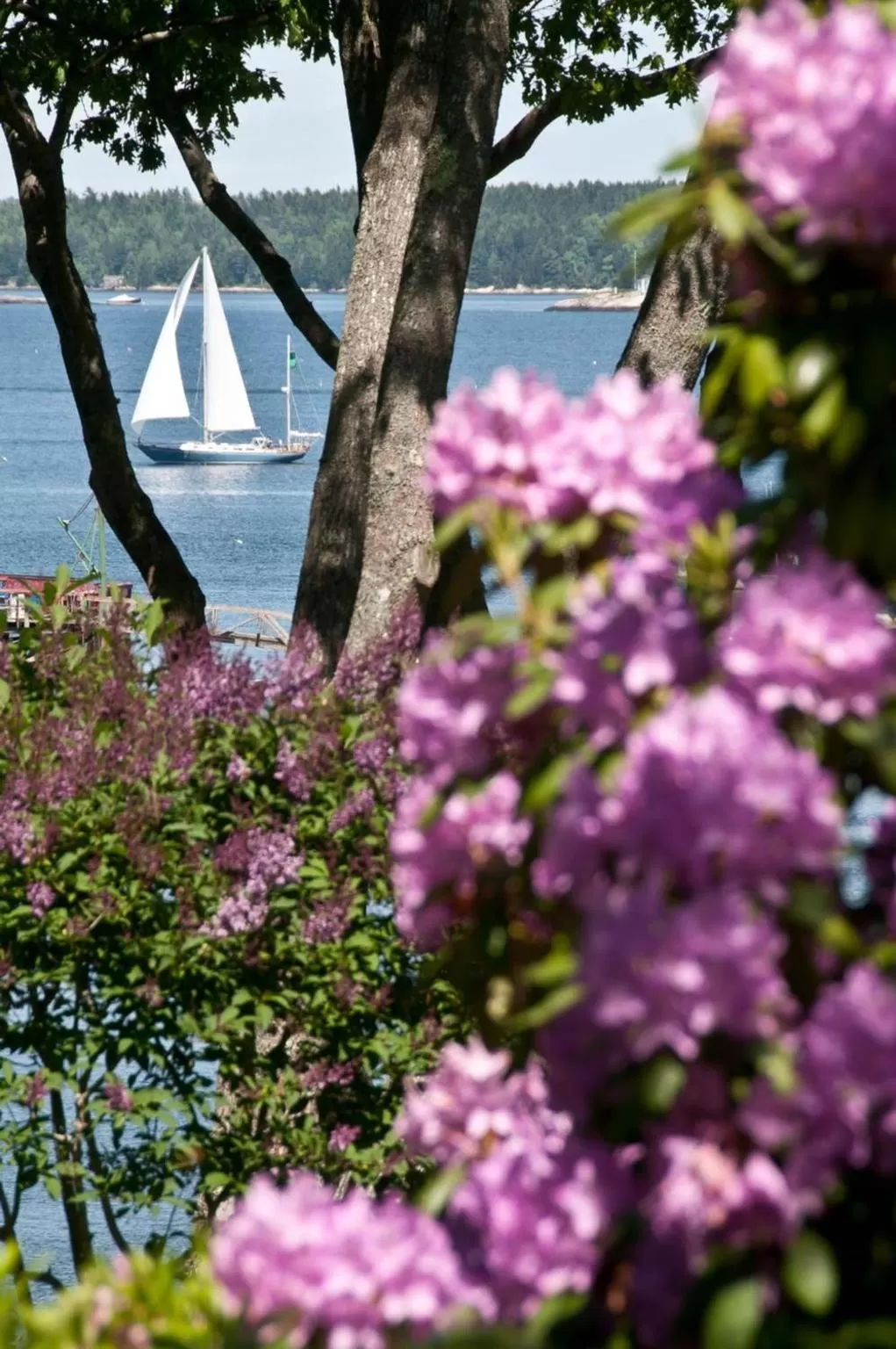 View (from property/room) in Coveside Bed & Breakfast