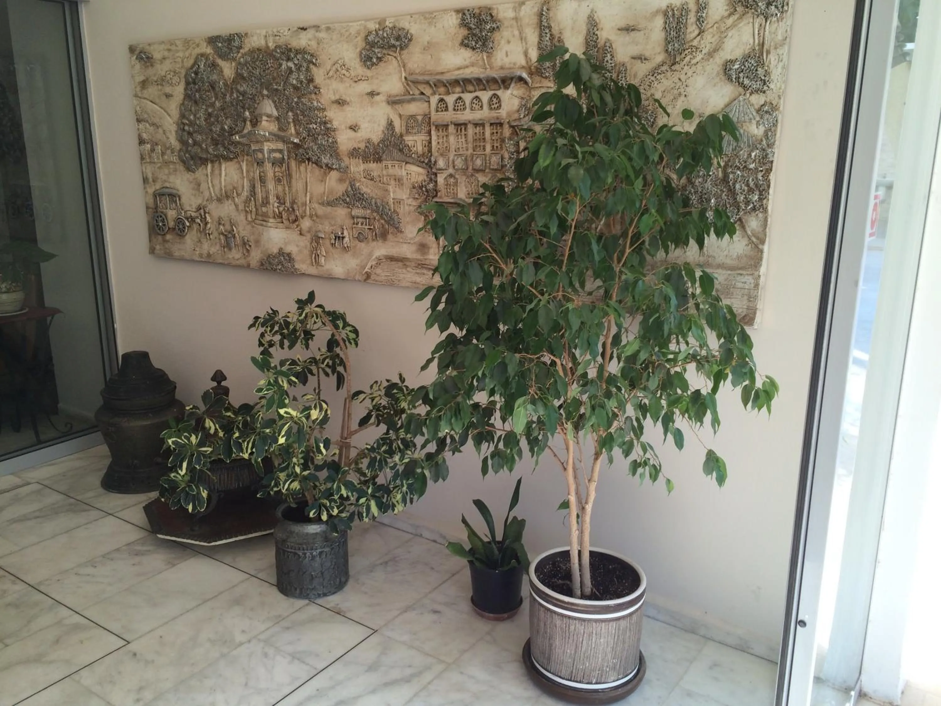 Area and facilities in Ataer Hotel