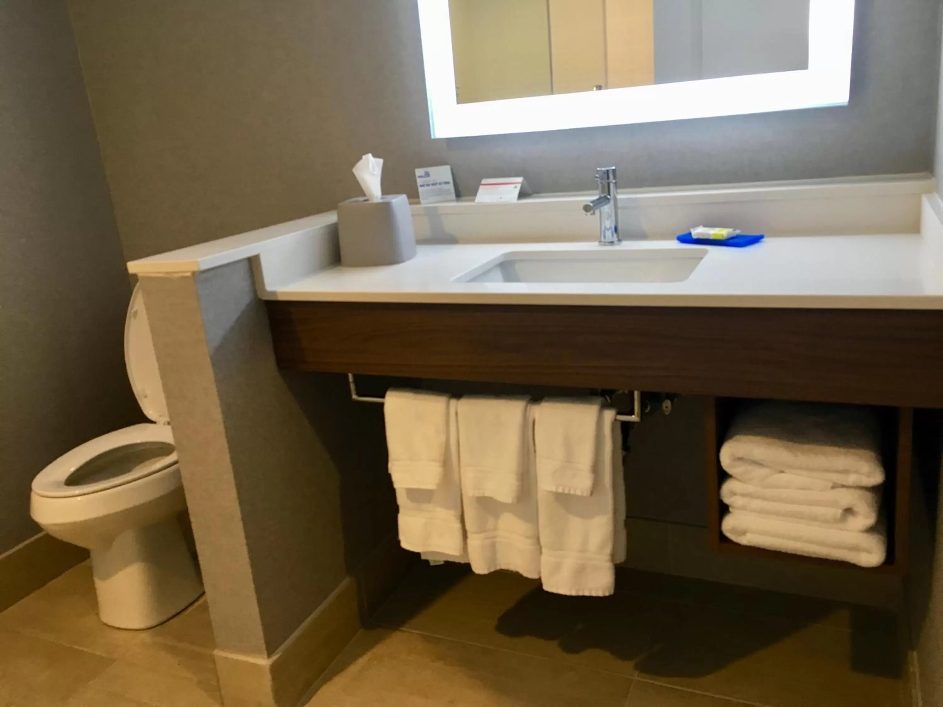 Bathroom in Holiday Inn Express - Grand Island by IHG