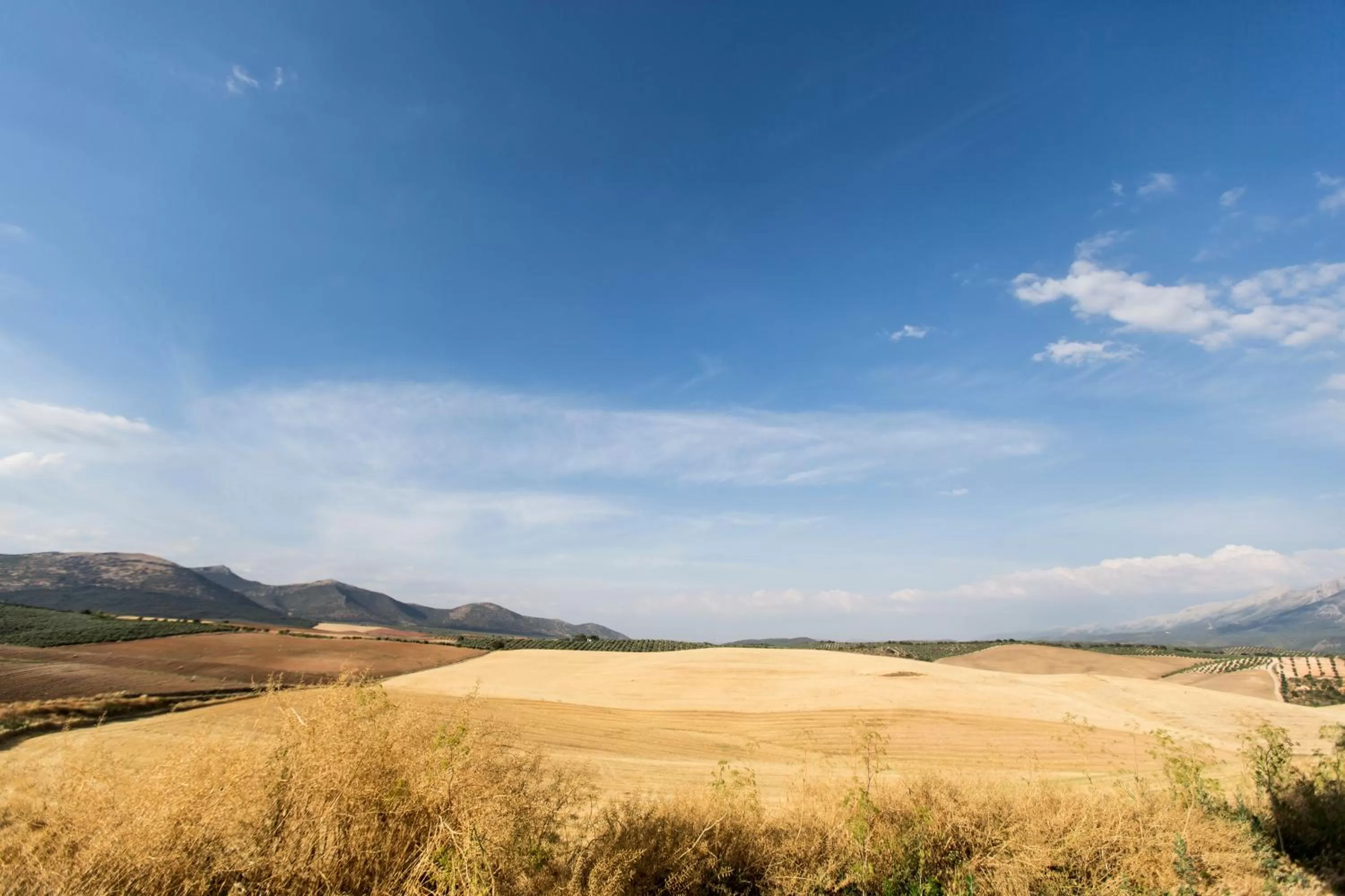 Natural landscape in Hotel Cortijo del Marqués