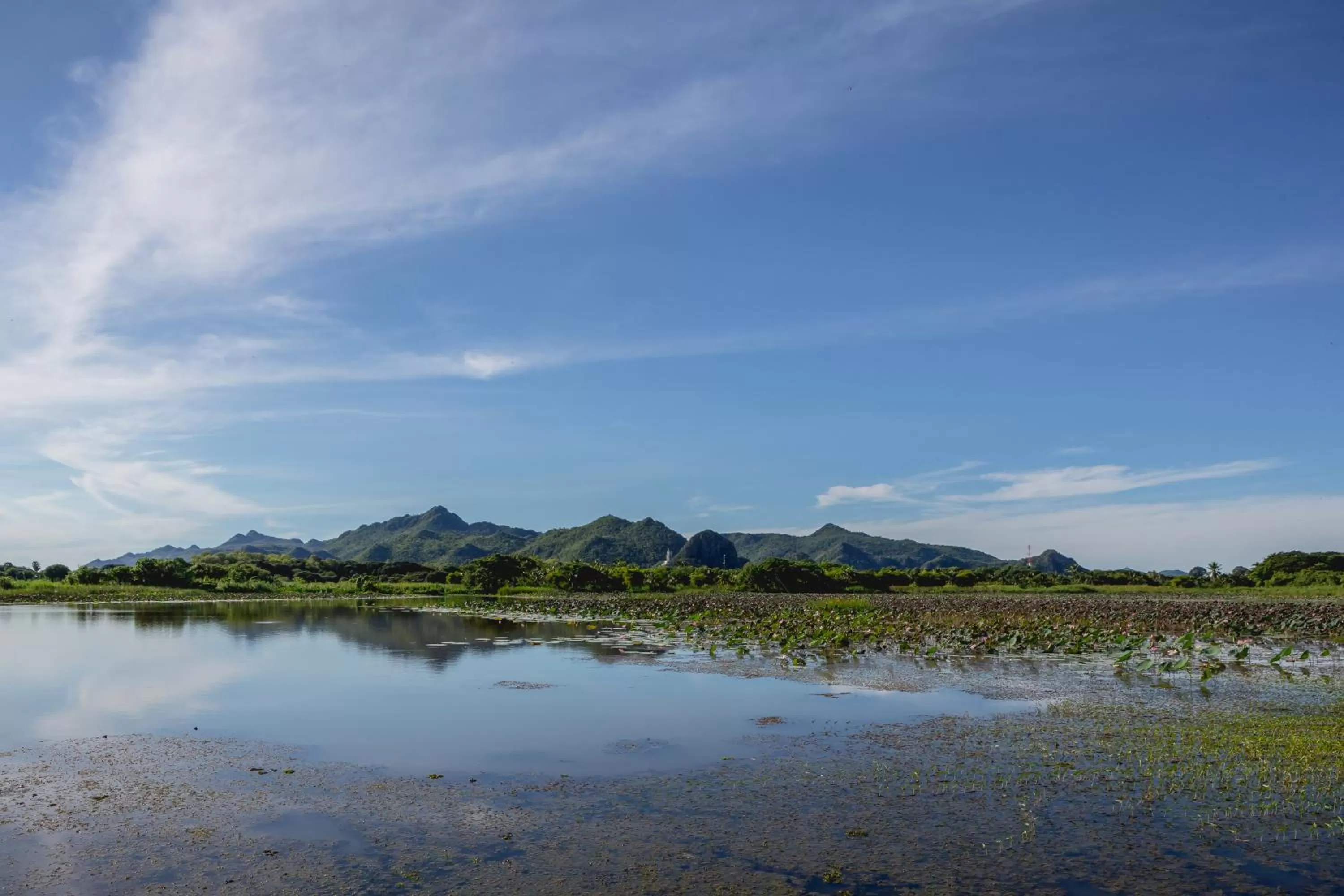 Sakarin Valley Resort