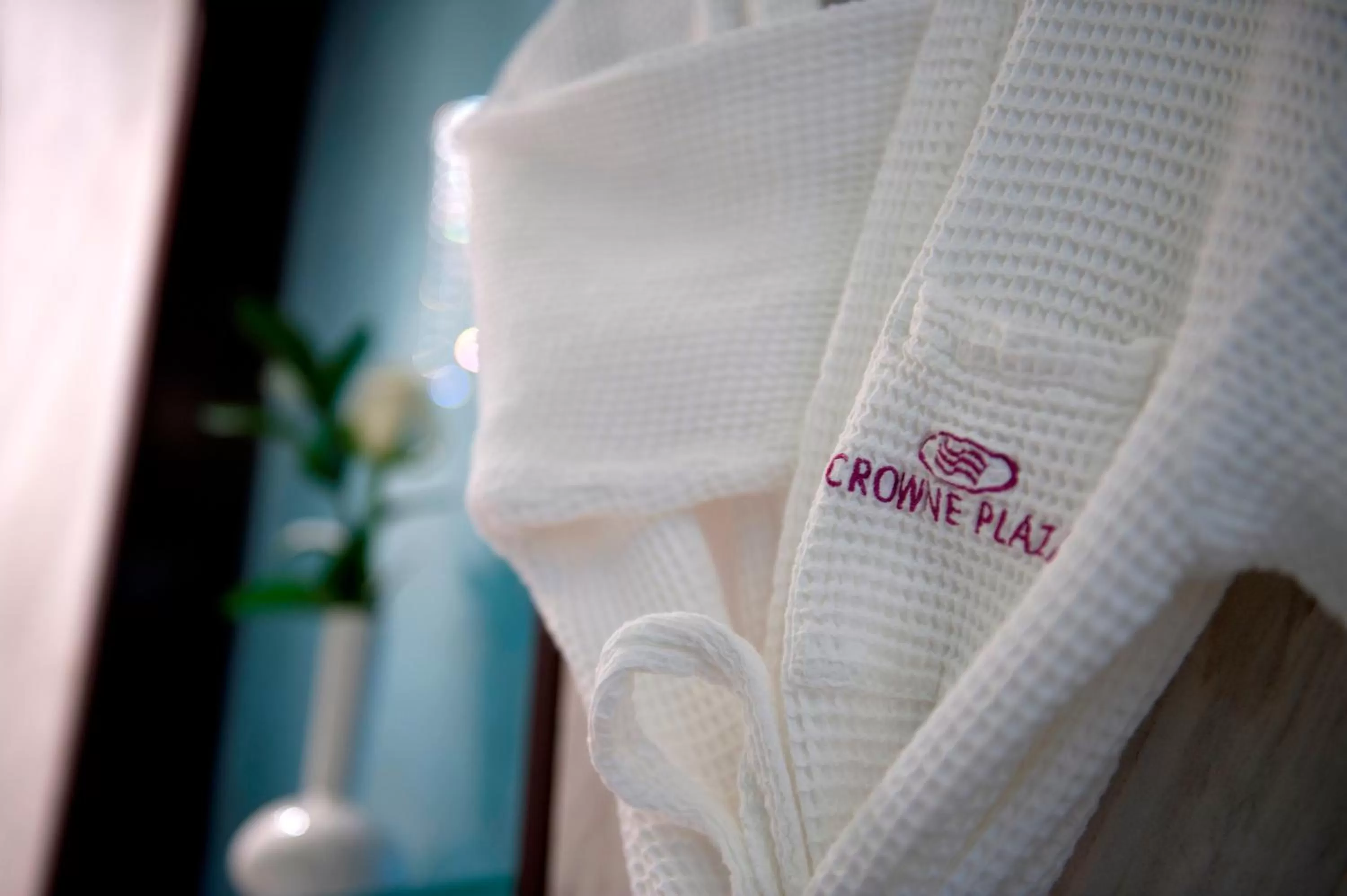 Logo/Certificate/Sign in Crowne Plaza Dubai Deira by IHG