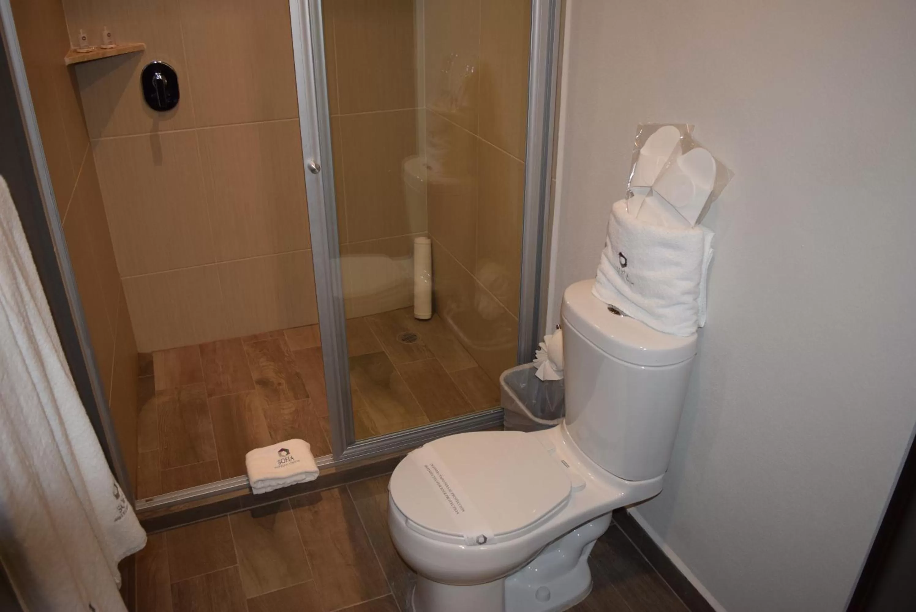 Property building in Hotel Sofia