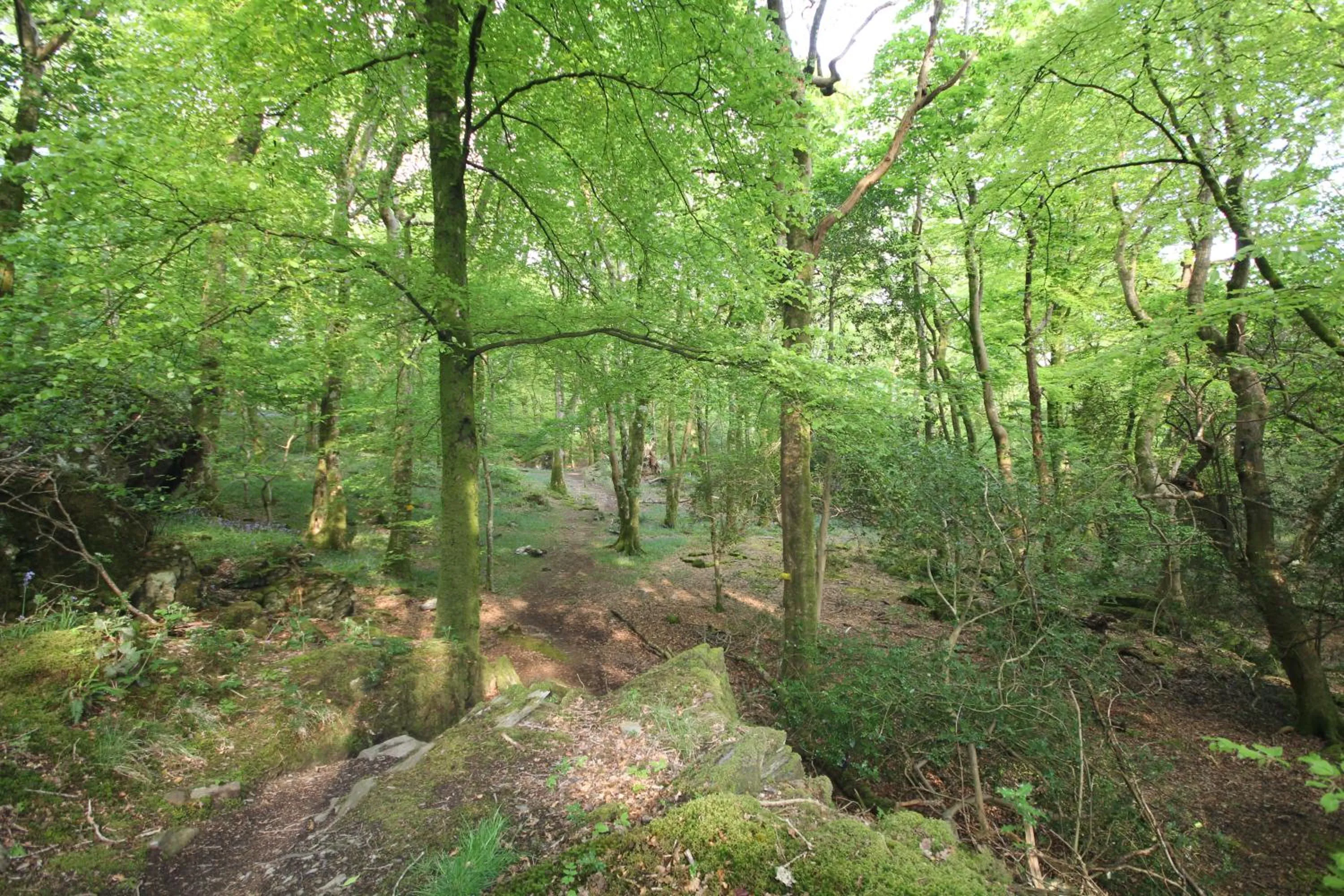 Natural landscape in Aberdunant Hall