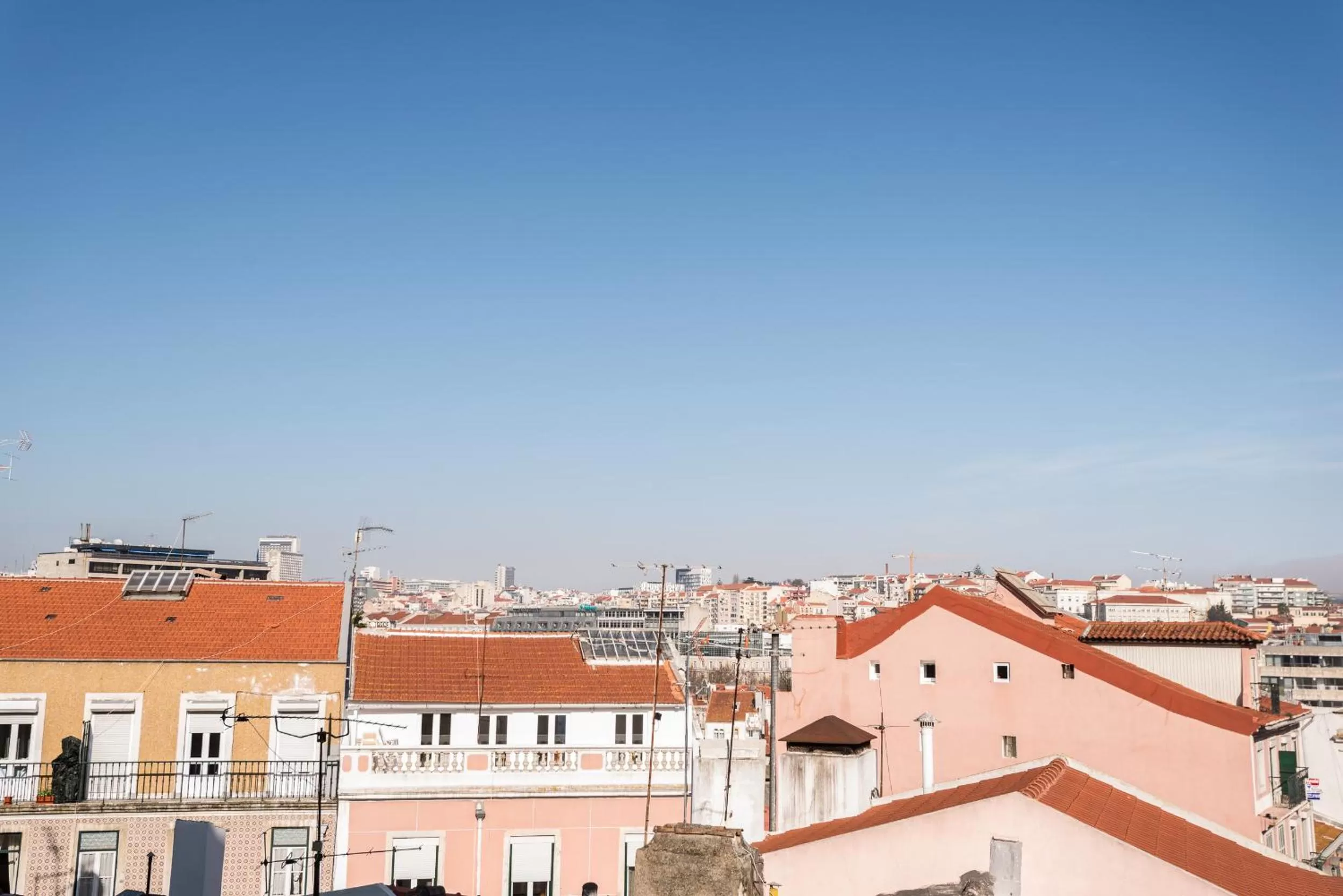 View (from property/room) in Hotel Botanico