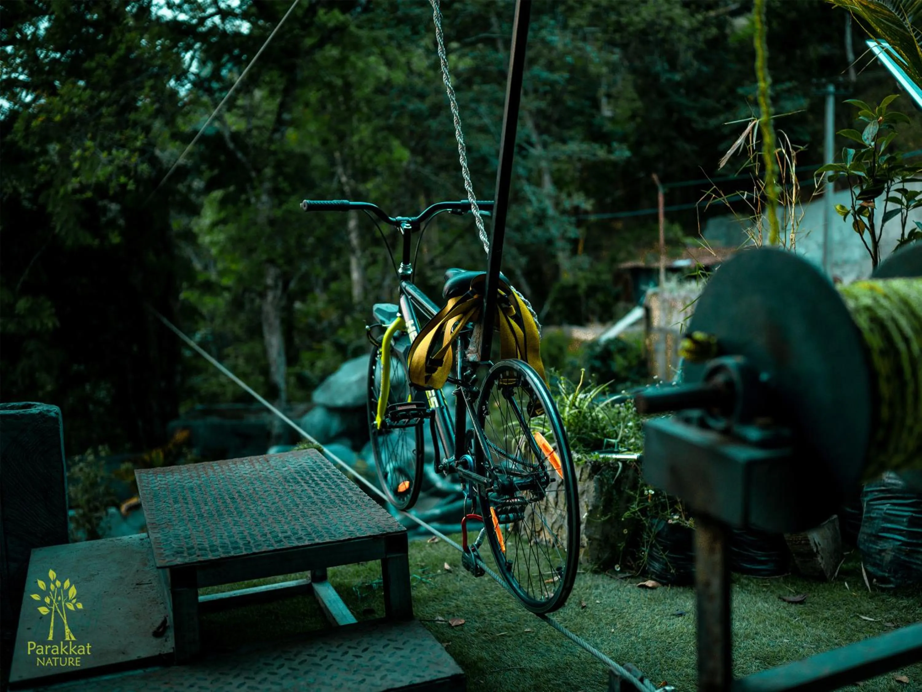 Activities in Parakkat Nature Resort