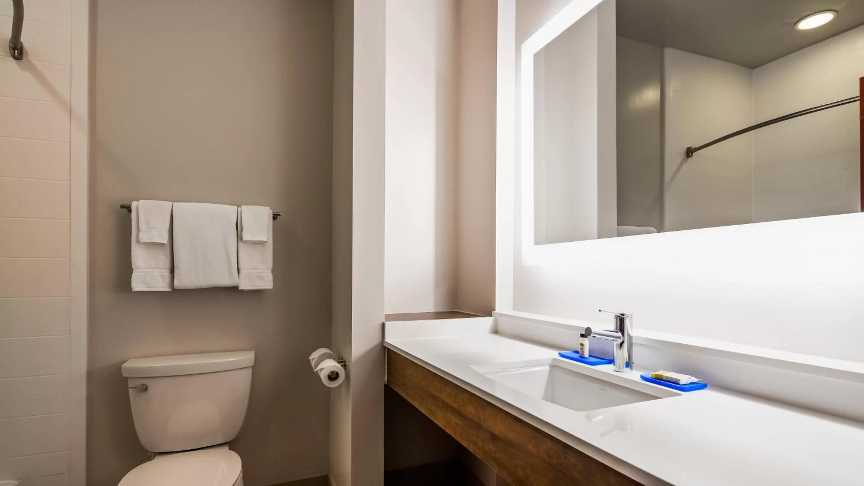 Bathroom in Holiday Inn Express & Suites Detroit - Farmington Hills by IHG
