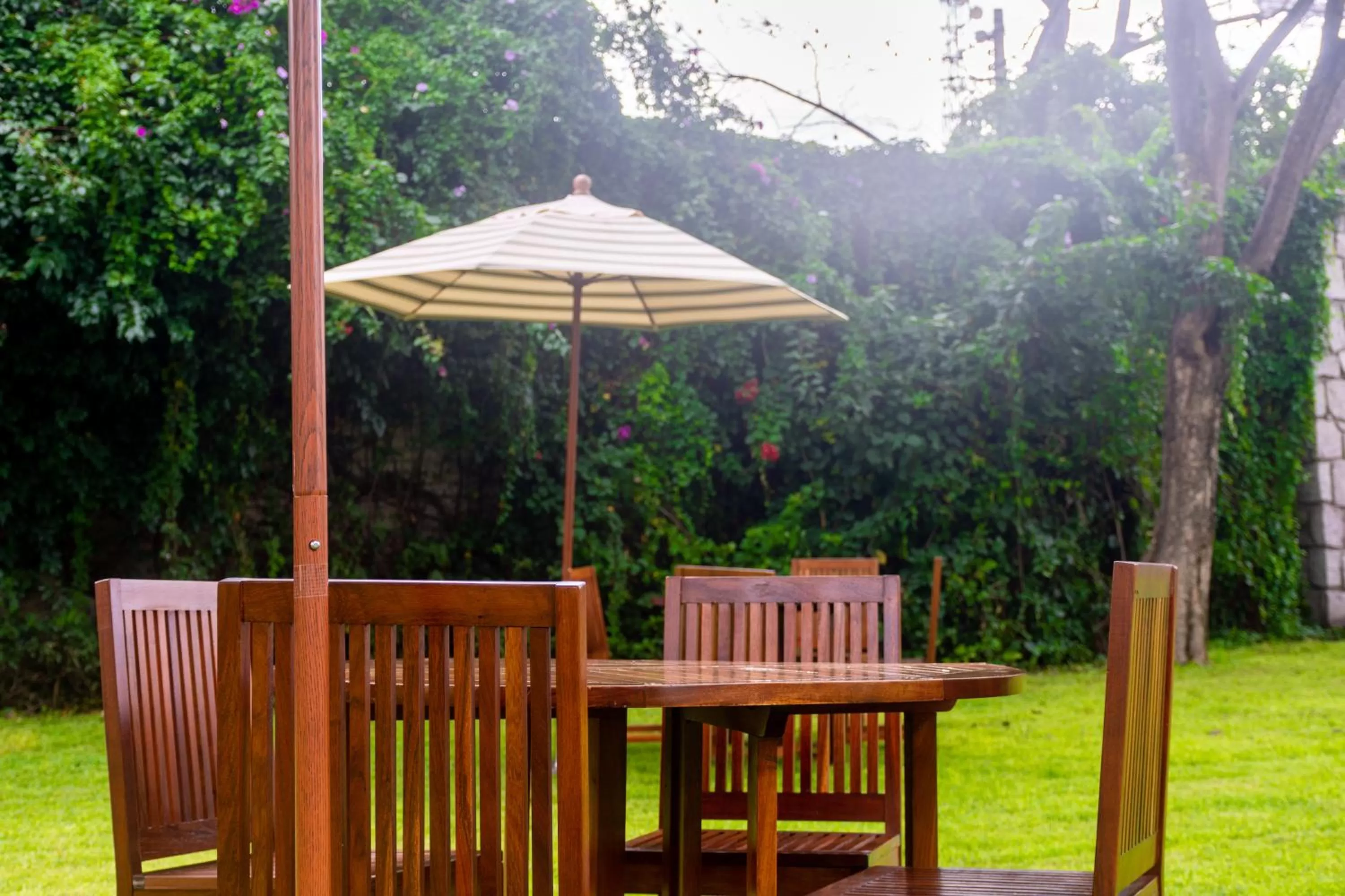 Garden in Hotel Flamingo Inn