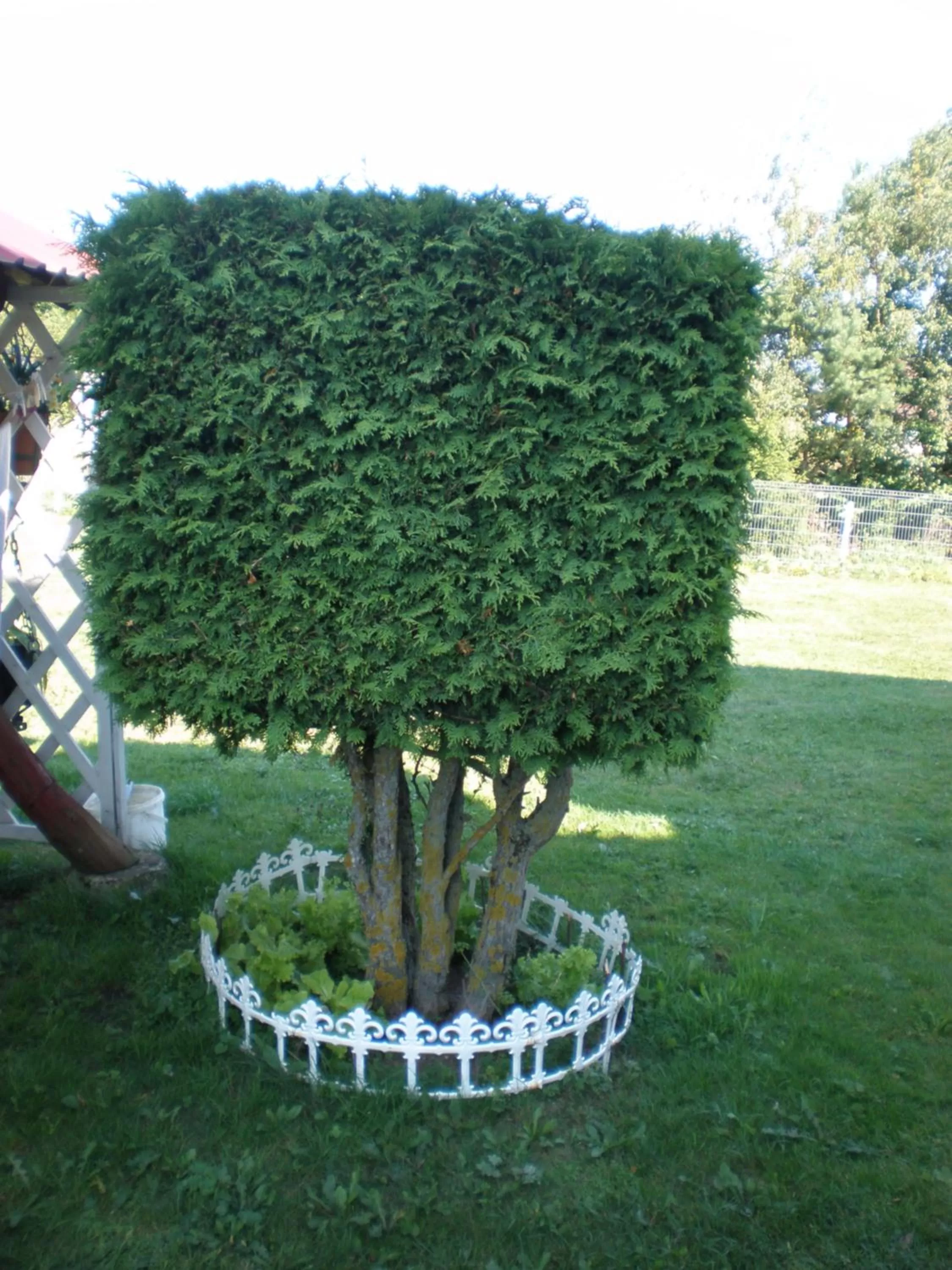 Garden view in Hotel Getliin