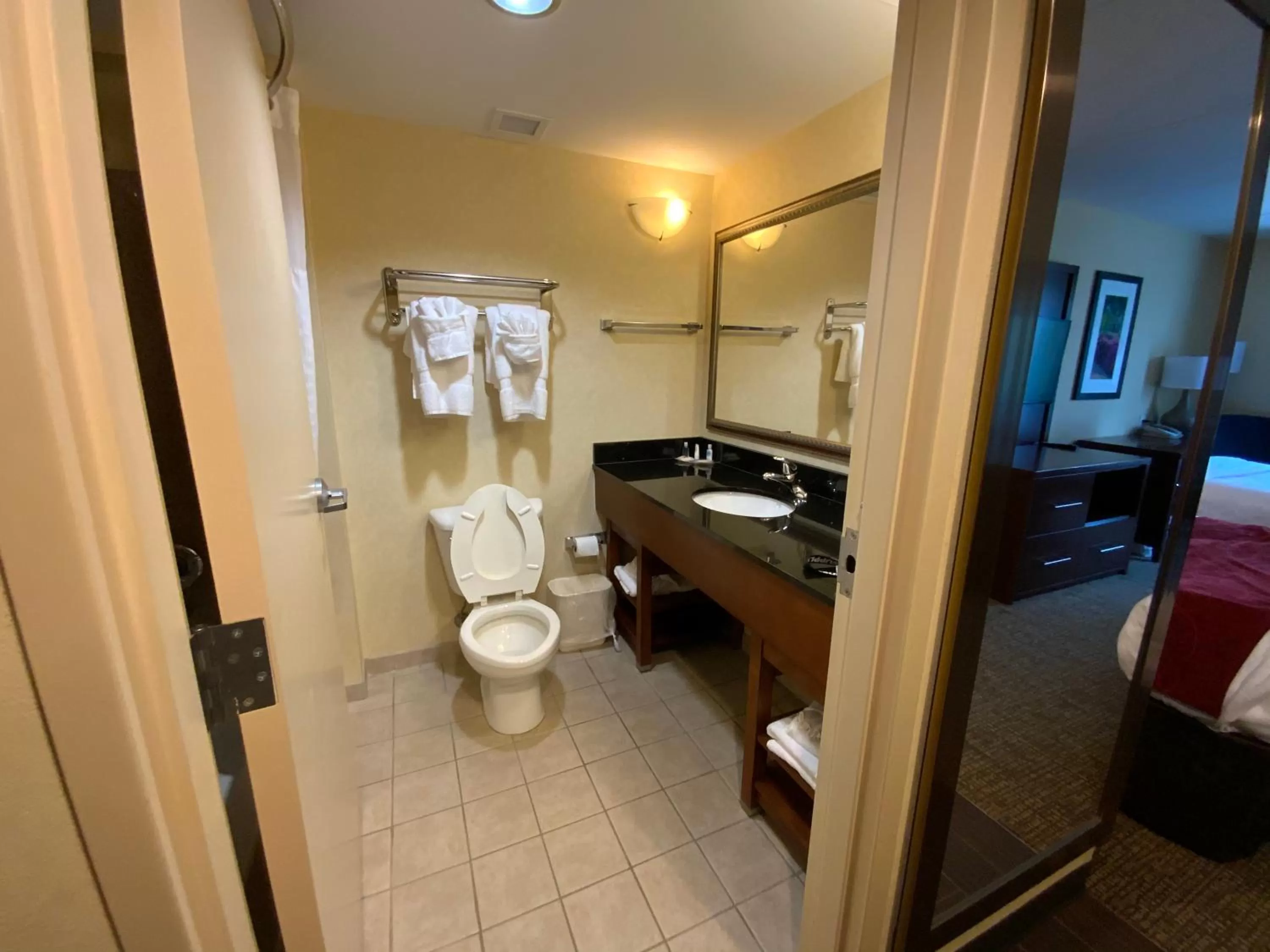 Bathroom in Comfort Suites Fredericksburg North