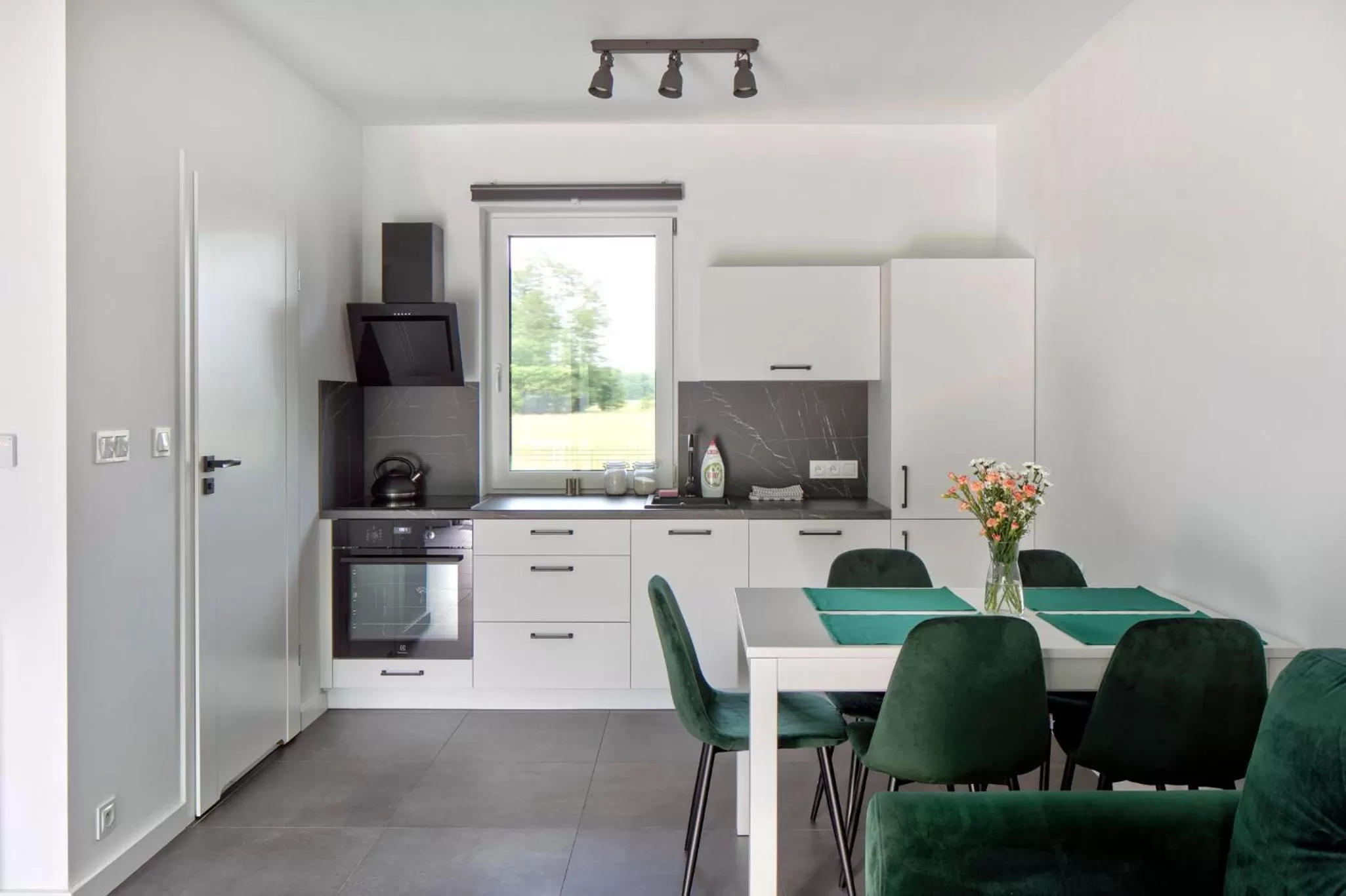 Kitchen or kitchenette in Apartamenty Zielona Lipka