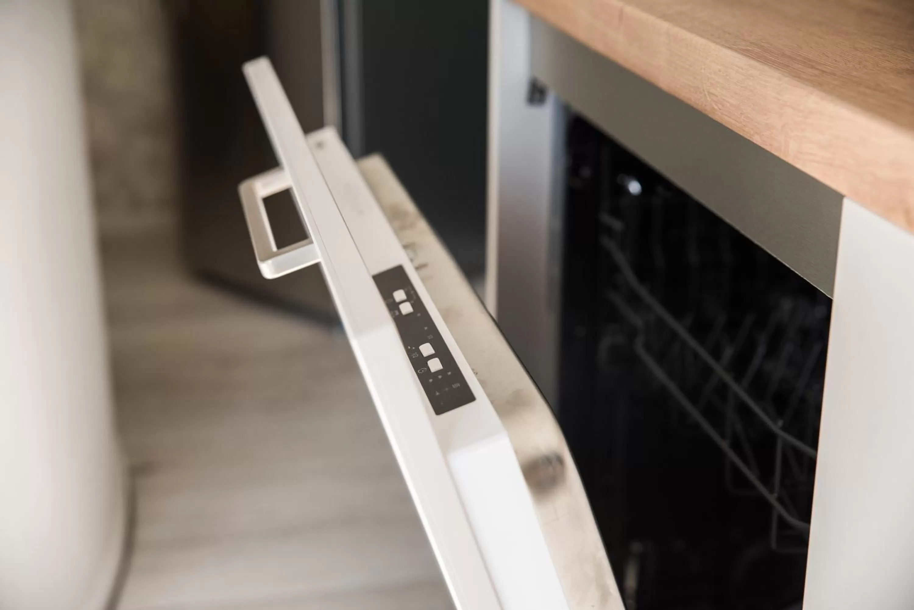 dishwasher in BnB It Hazzeleger Beetsterzwaag