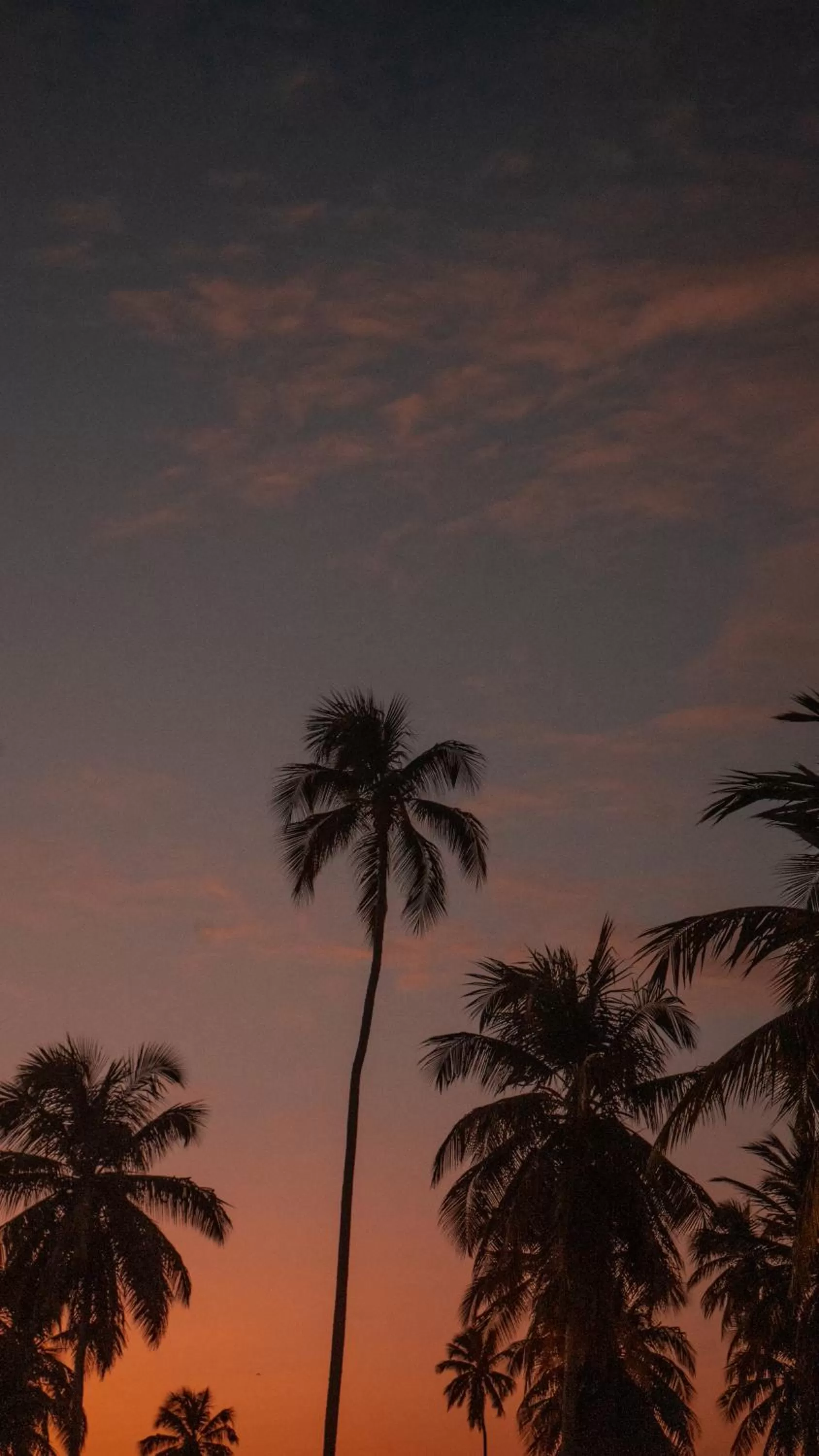 Spa and wellness centre/facilities in Villa Canziani & Donato