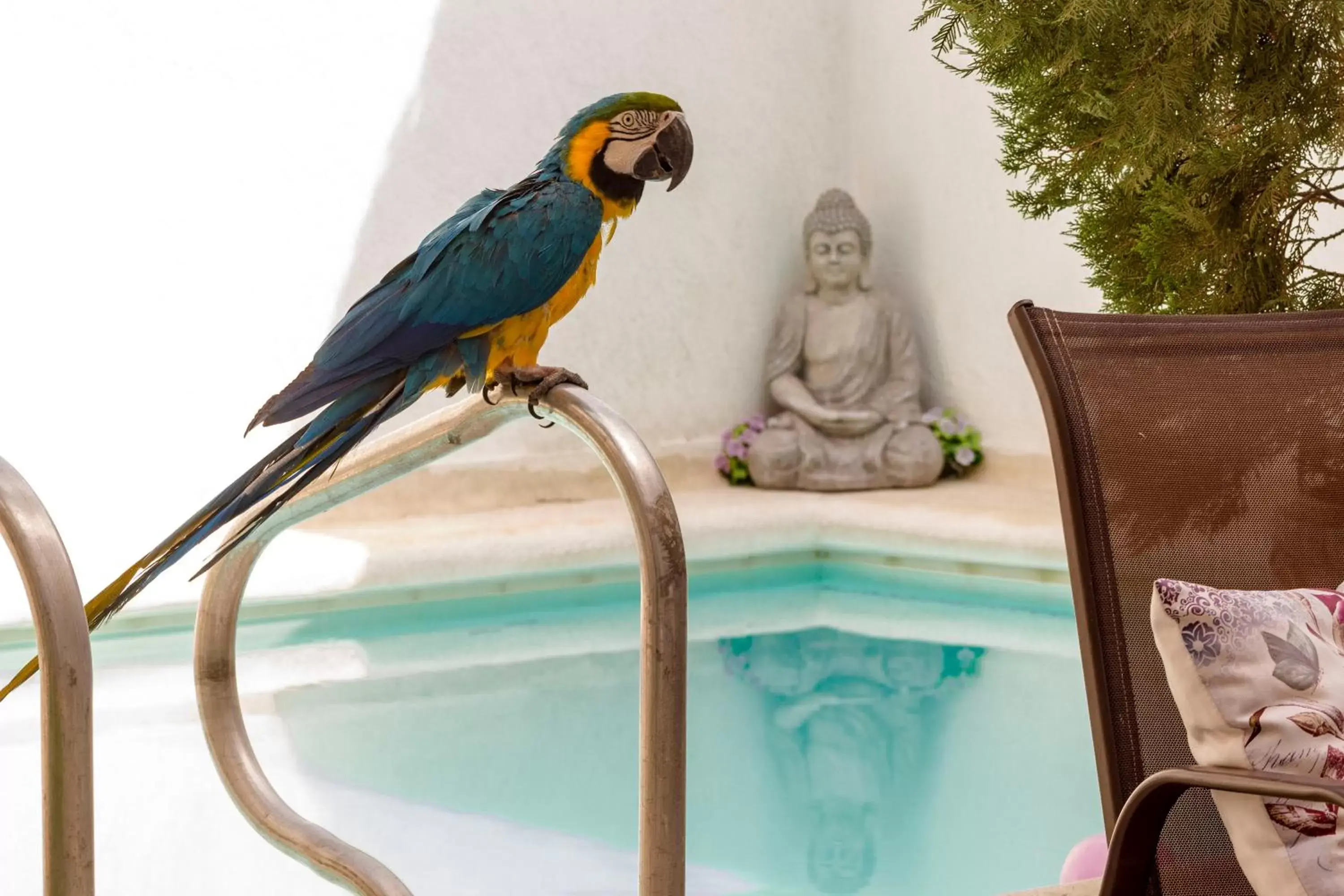 Maria's House - Boutique Hotel Maria's House - Boutique Hotel