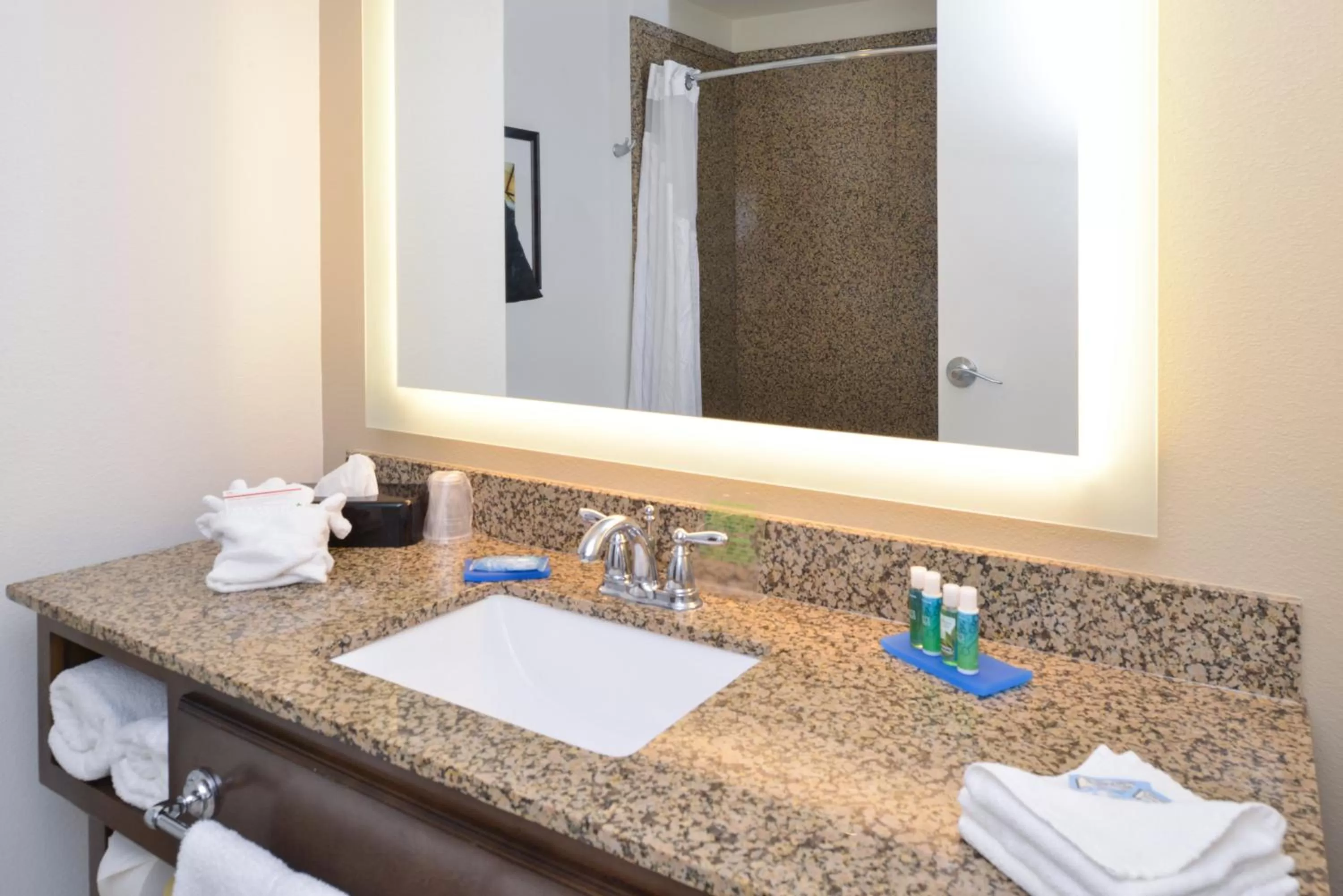 Bathroom in Holiday Inn Express Pocatello by IHG