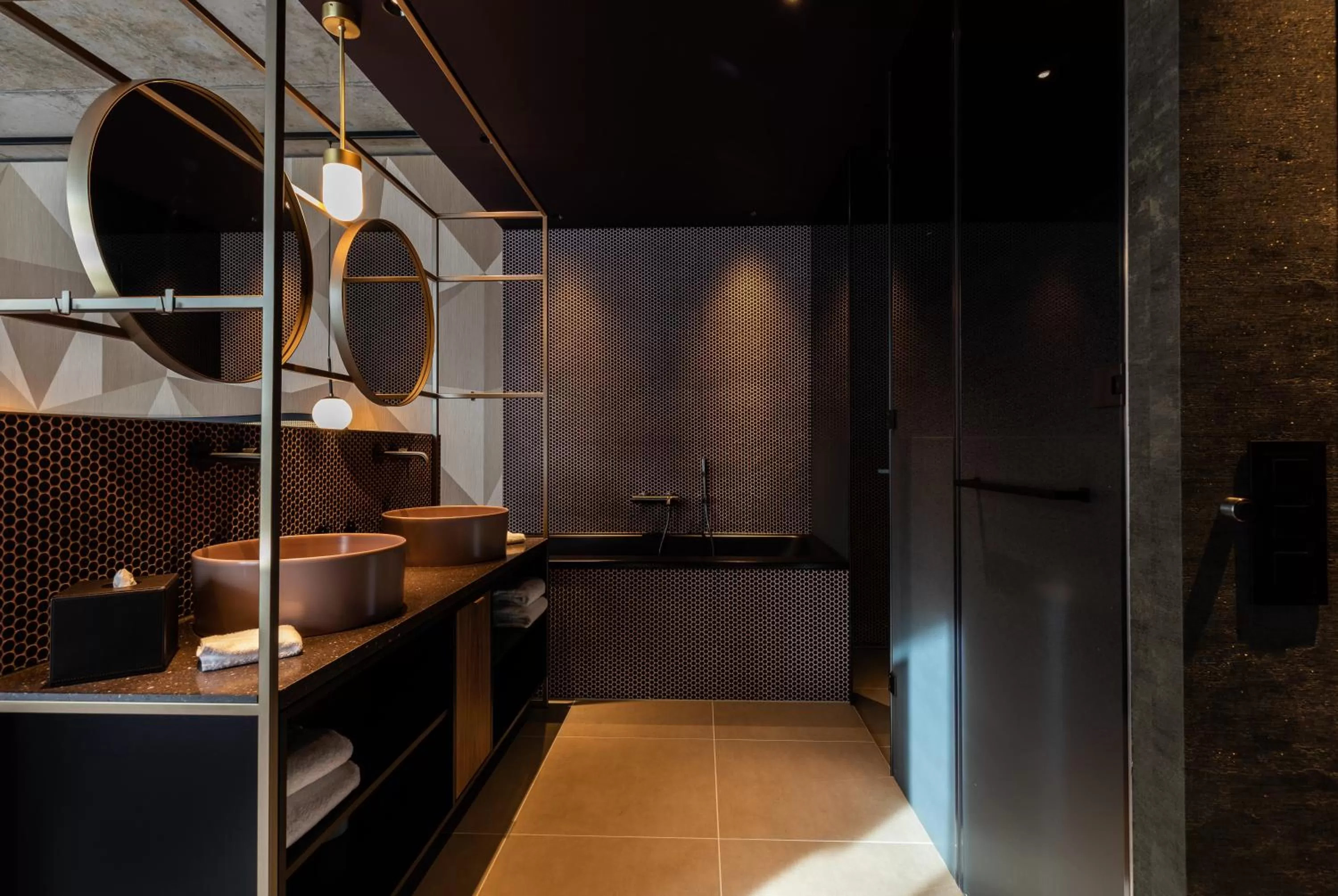 Toilet in Me and All Hotel Flims, by Hyatt