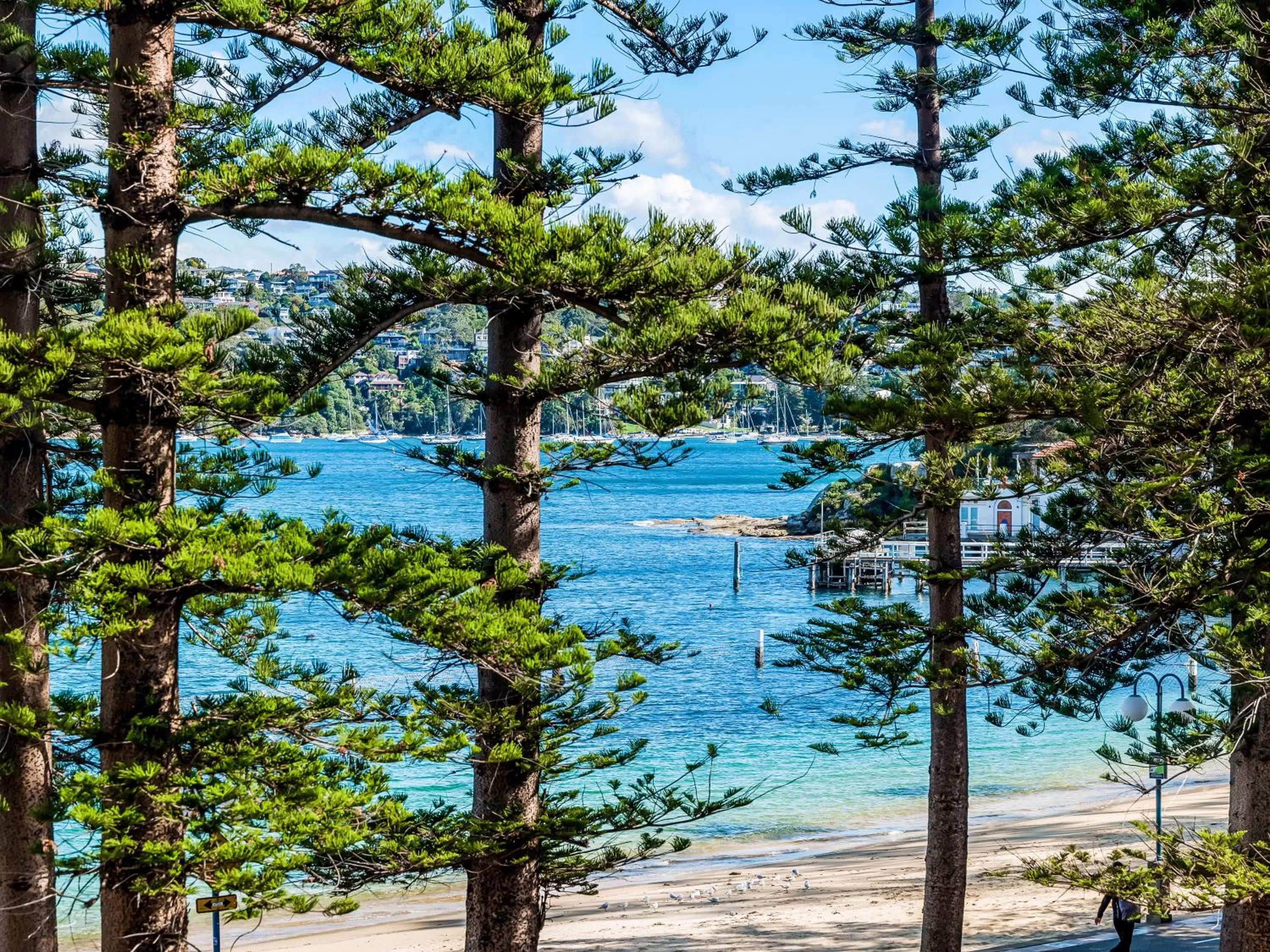 Natural landscape in Quest Manly