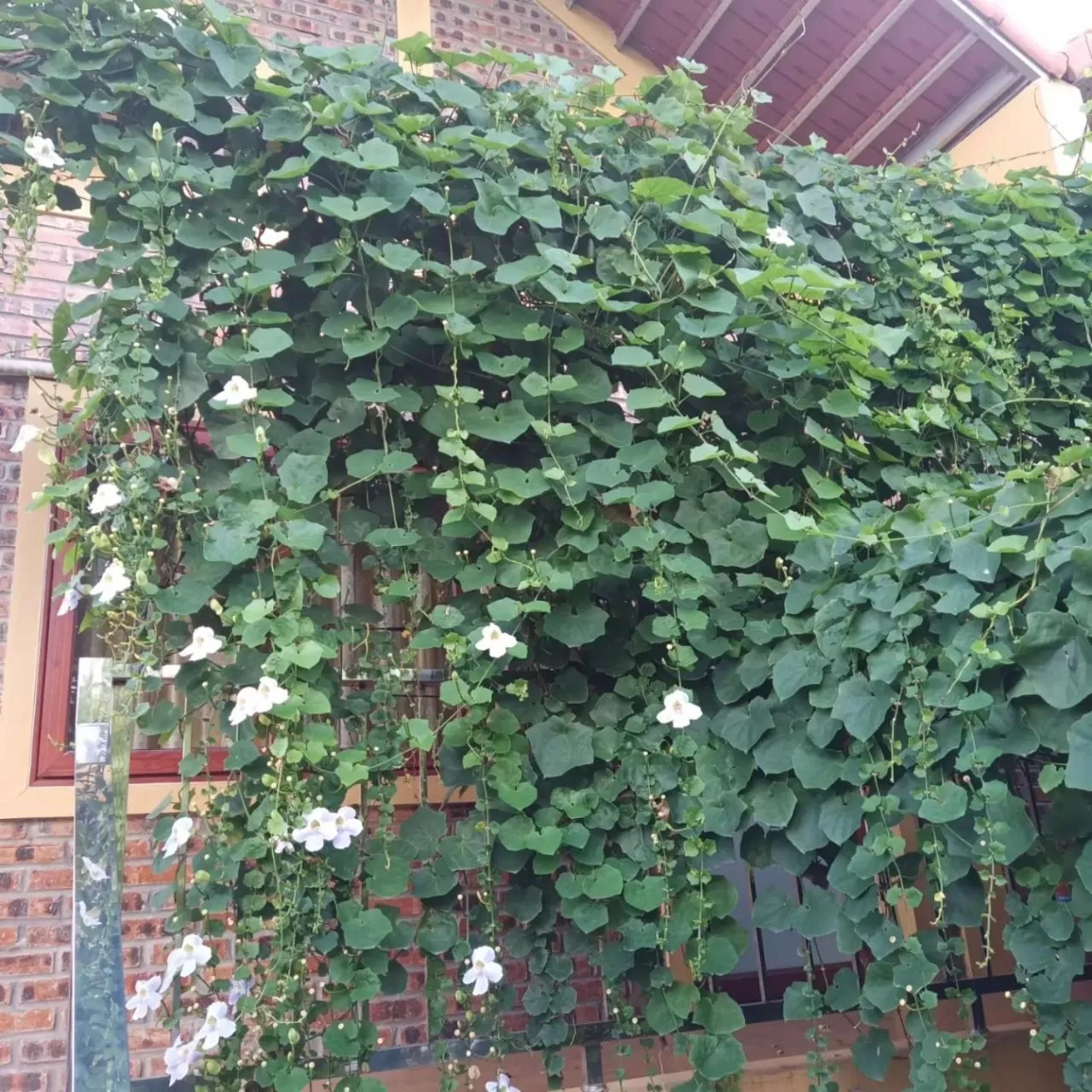 Property building in Green Space Homestay