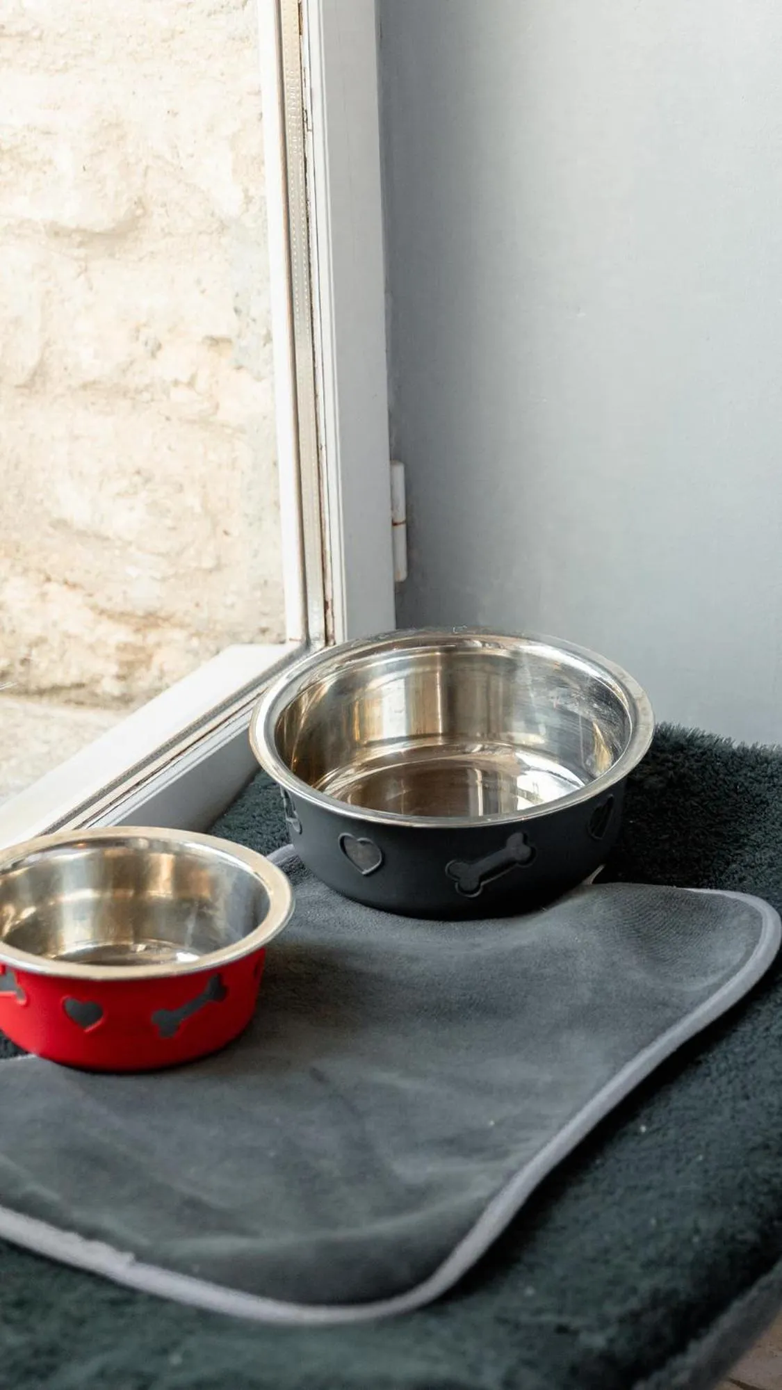 Pets in Mas des Romarins, The Originals Relais