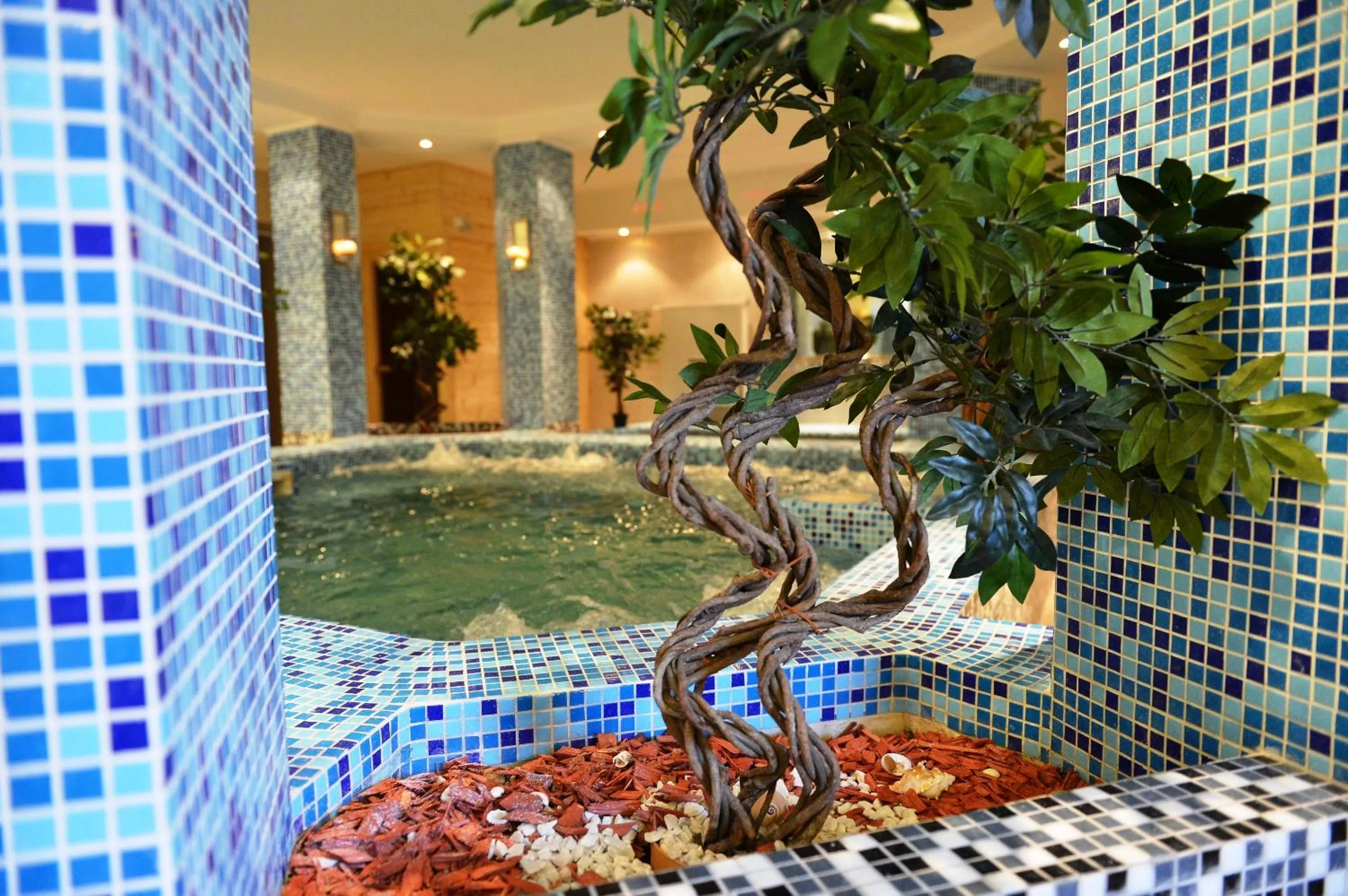 Hot Tub in Liza Aqua & Conference Hotel