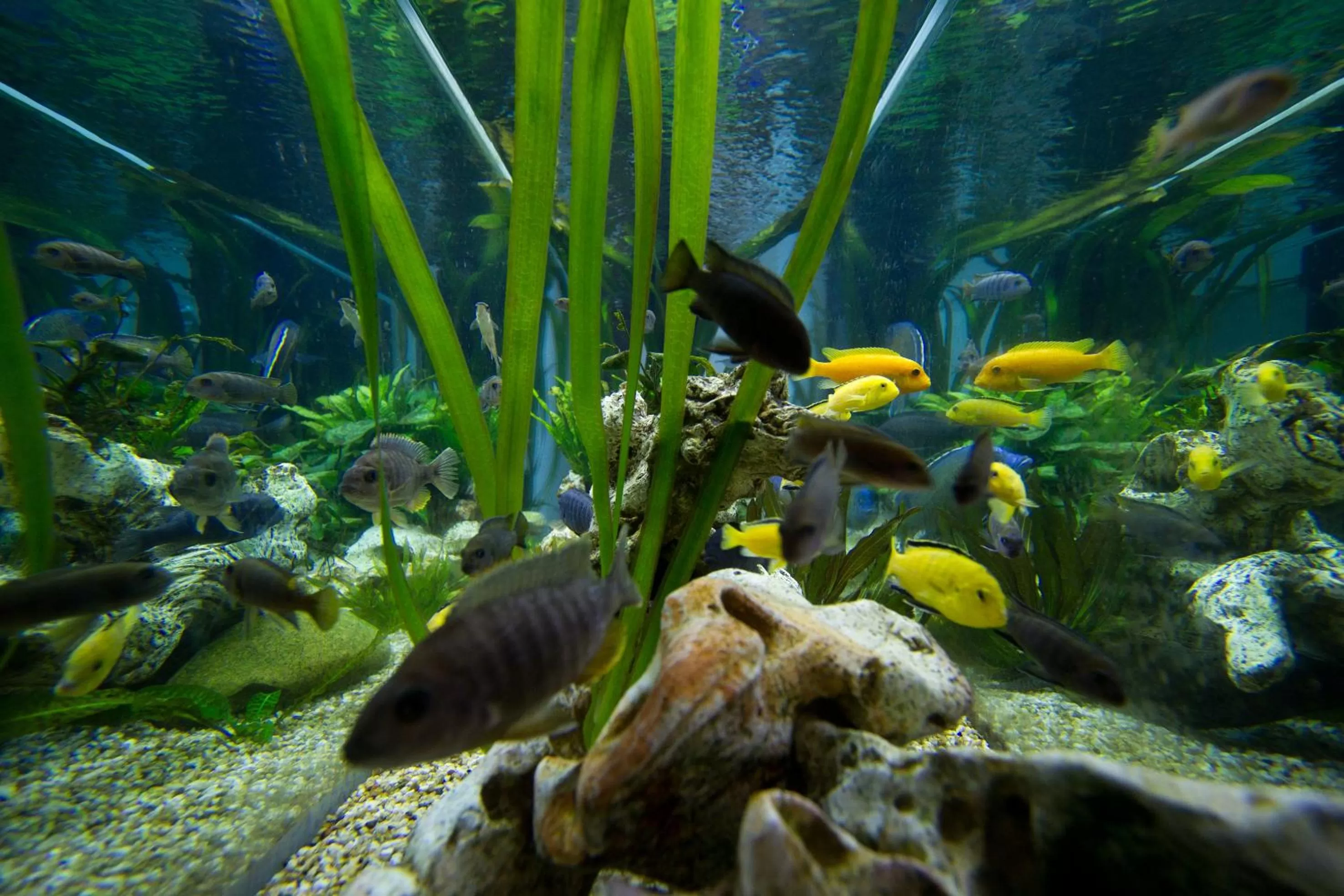 Other in MyPlace Premium Apartments