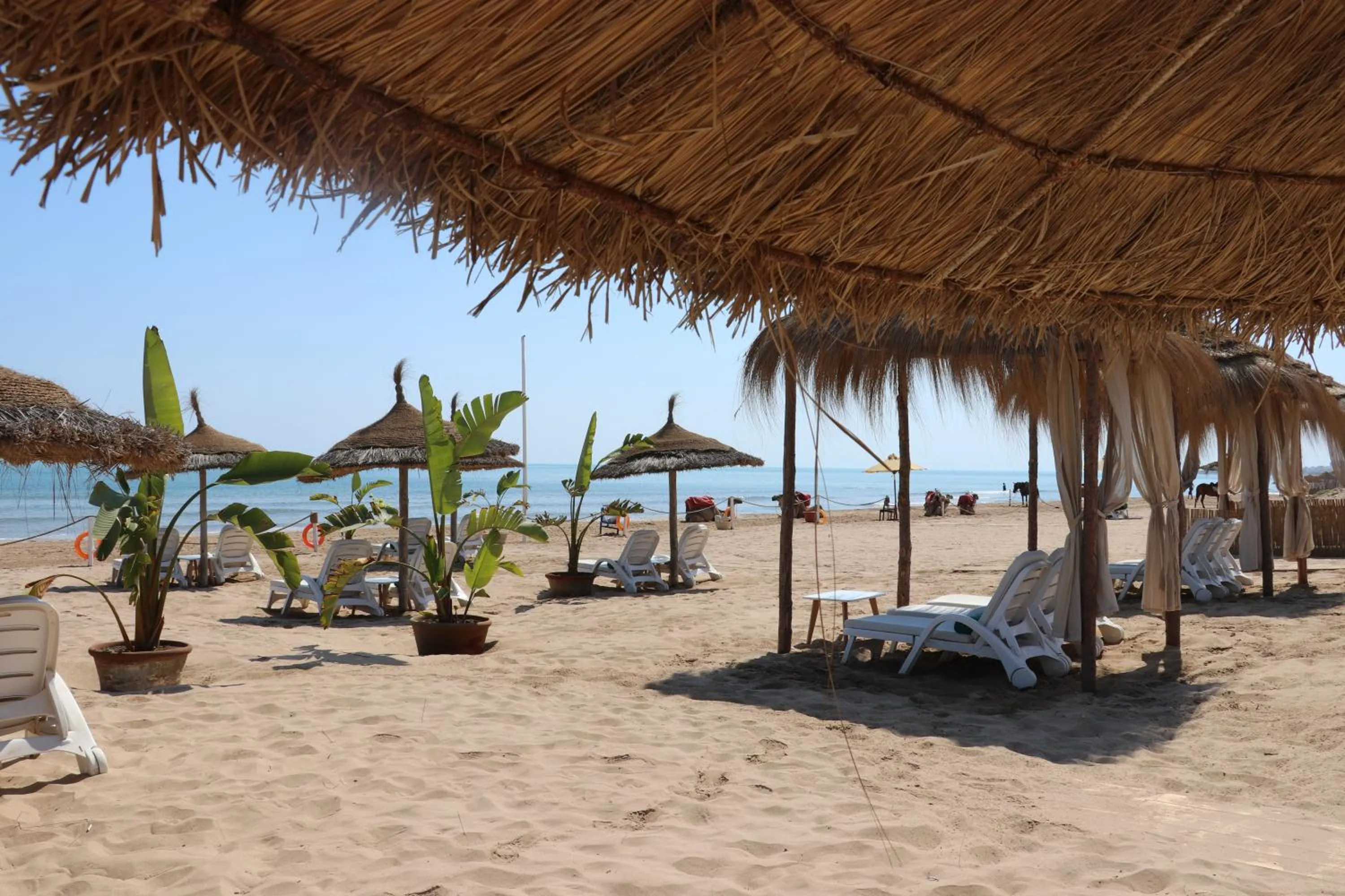 Beach in The Residence Tunis