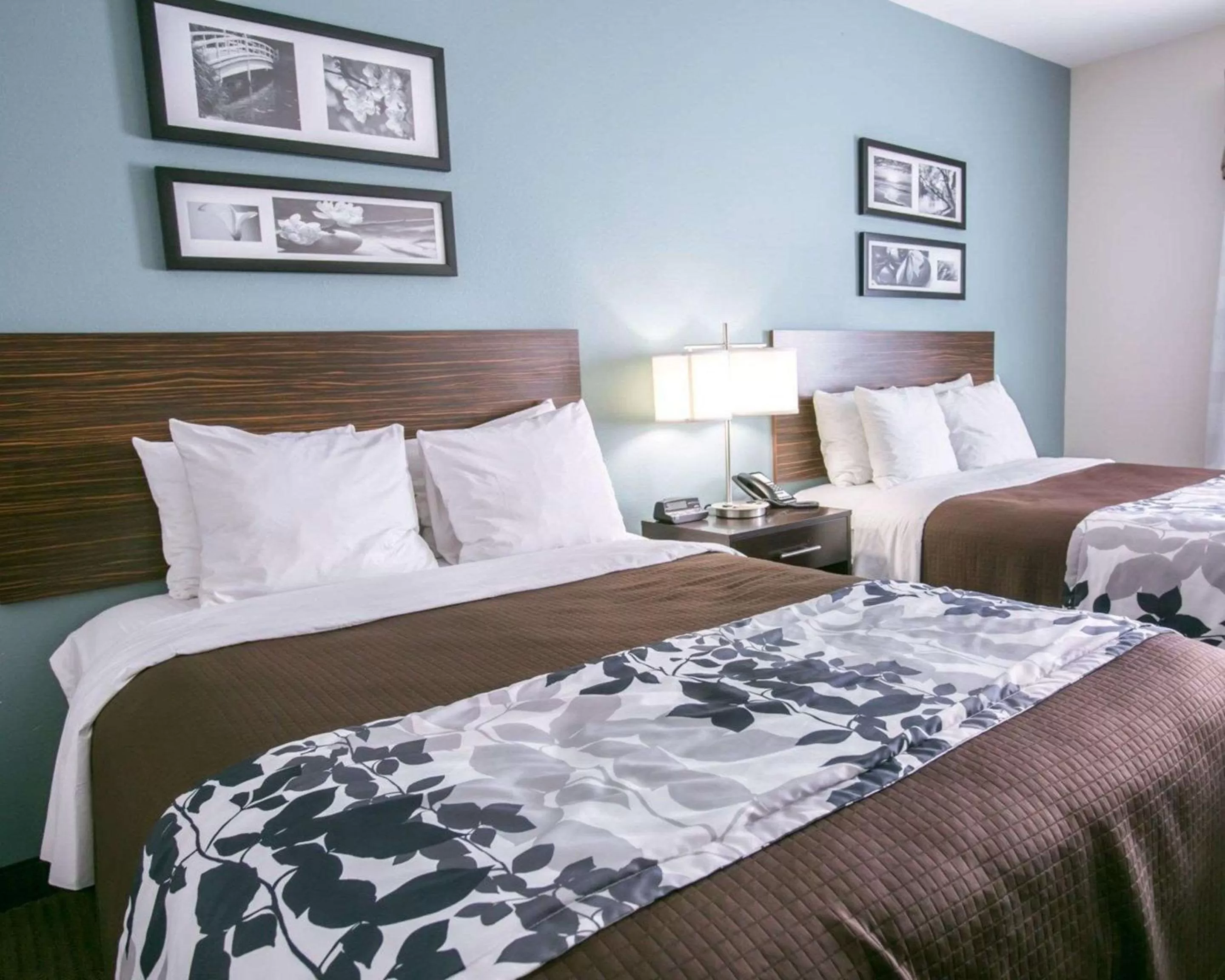 Photo of the whole room, Bed in Sleep Inn & Suites Austin North - I-35