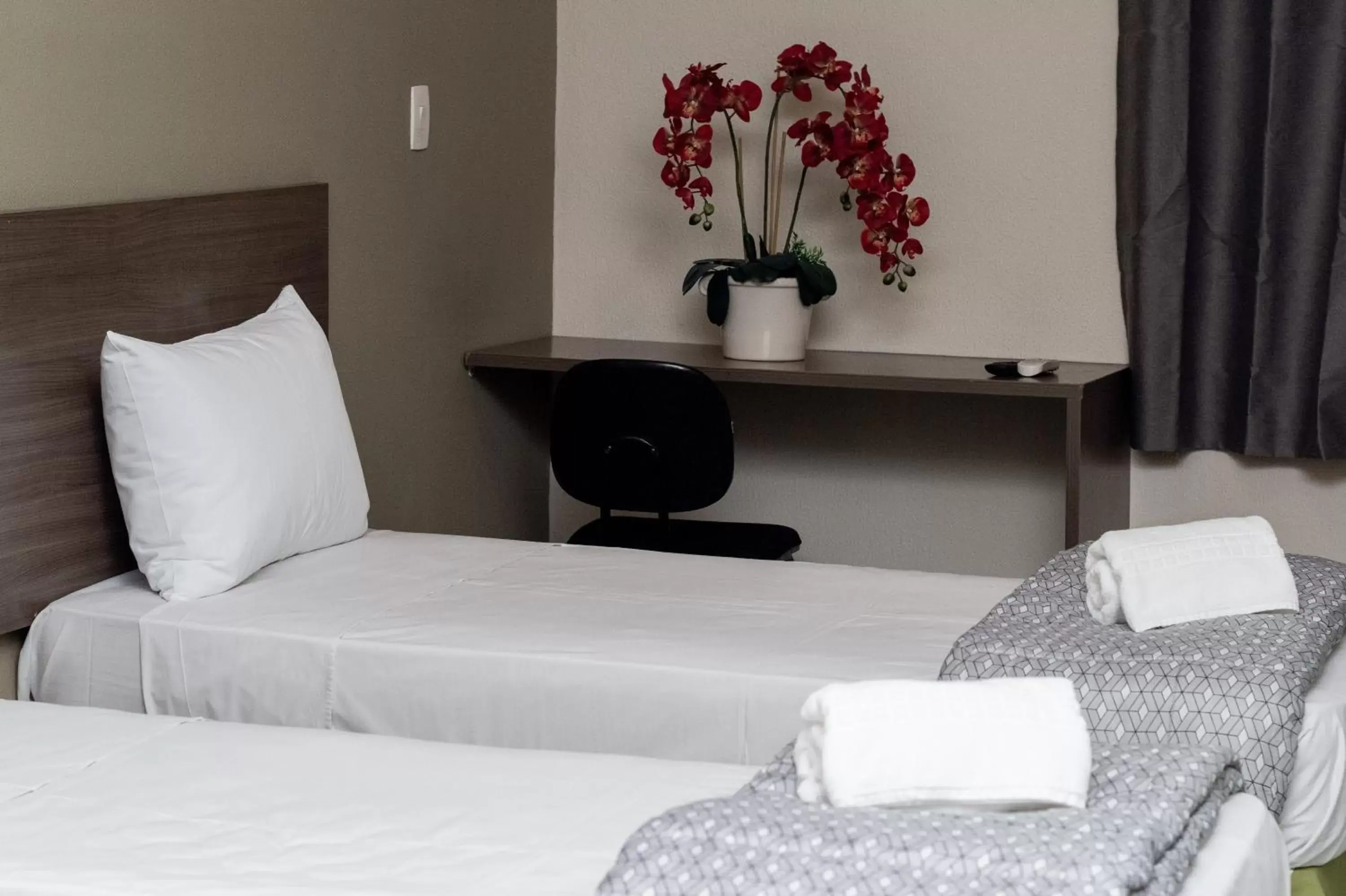 Twin Room - single occupancy in Astor Hotel Twin Room - single occupancy in Astor Hotel