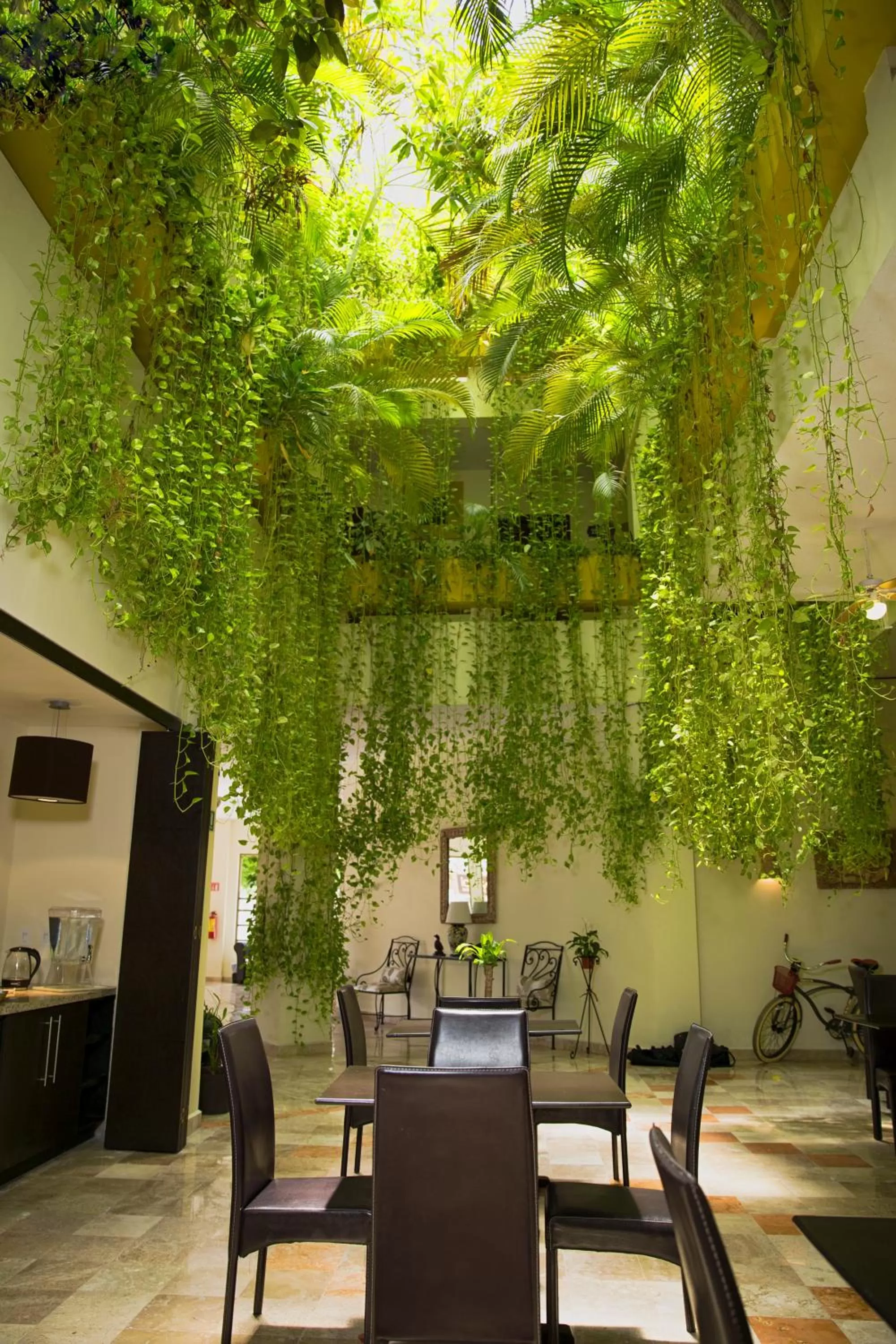 Restaurant/places to eat in Hotel Los Itzaes by 5th av