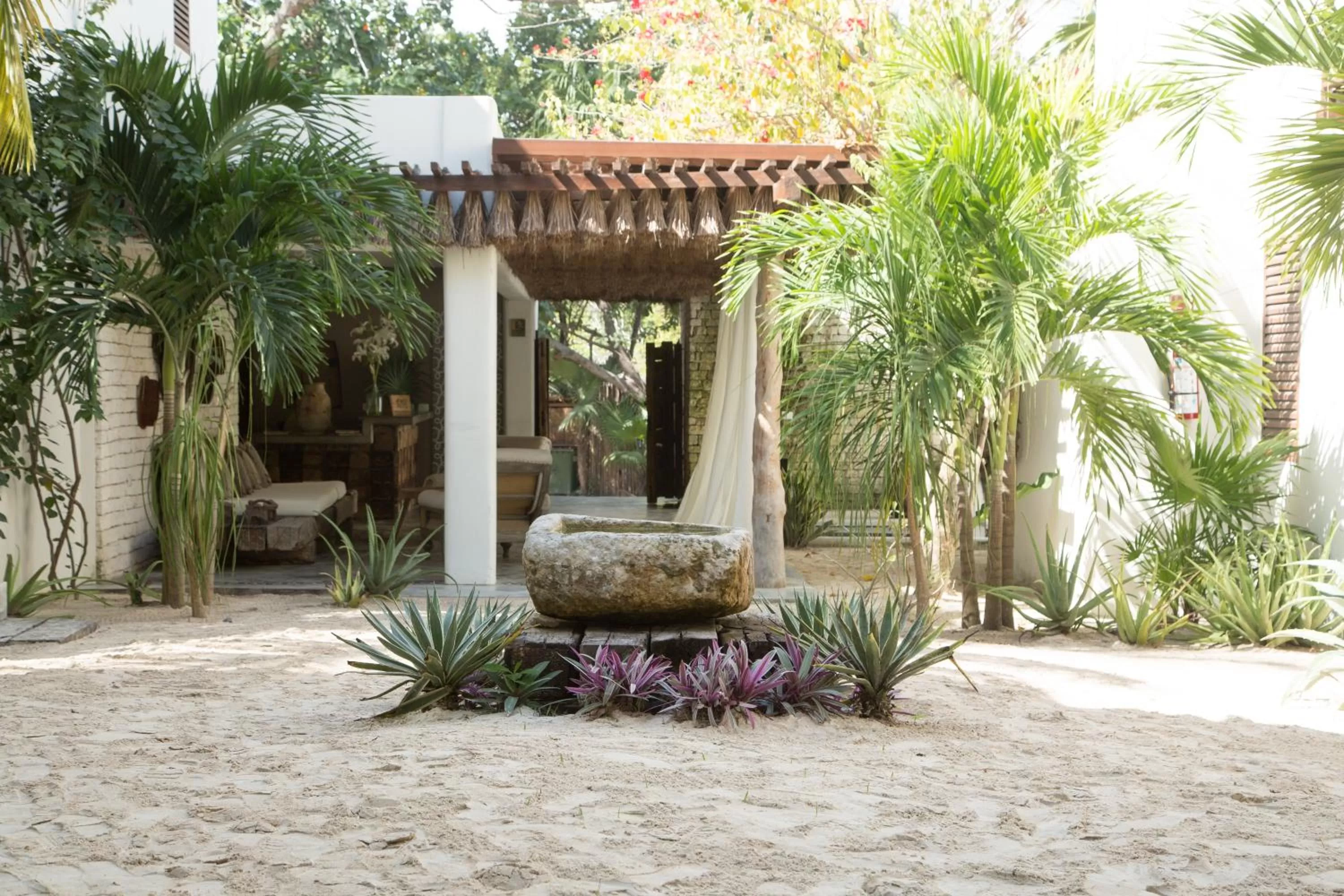 Property building in Chiringuito Tulum