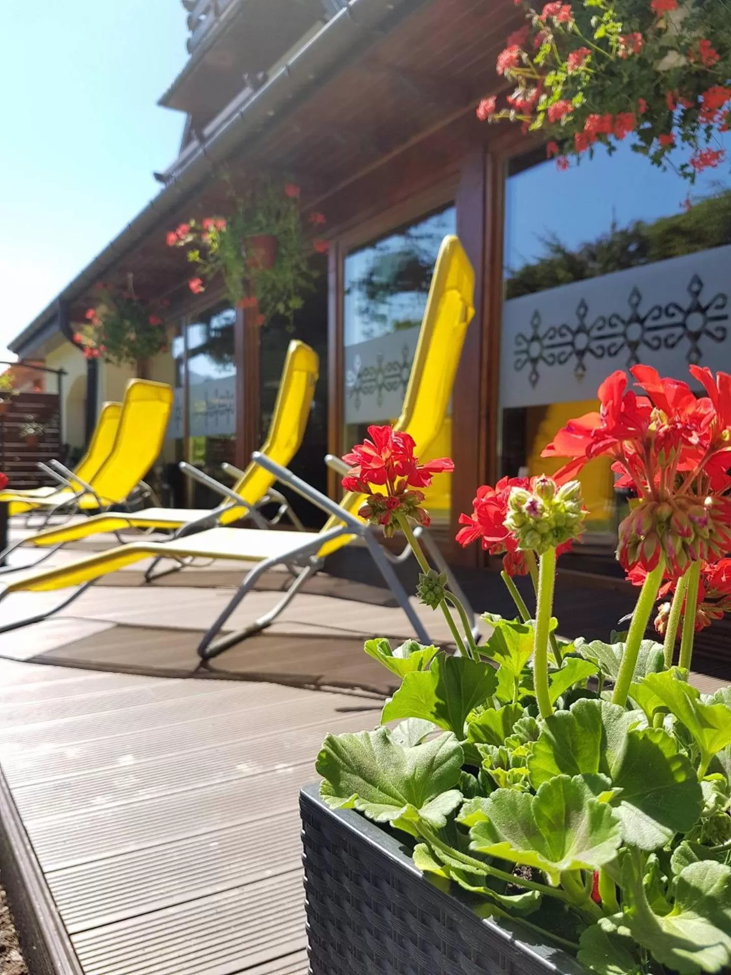 Garden in Willa Baciarka-basen, sauny i jacuzzi